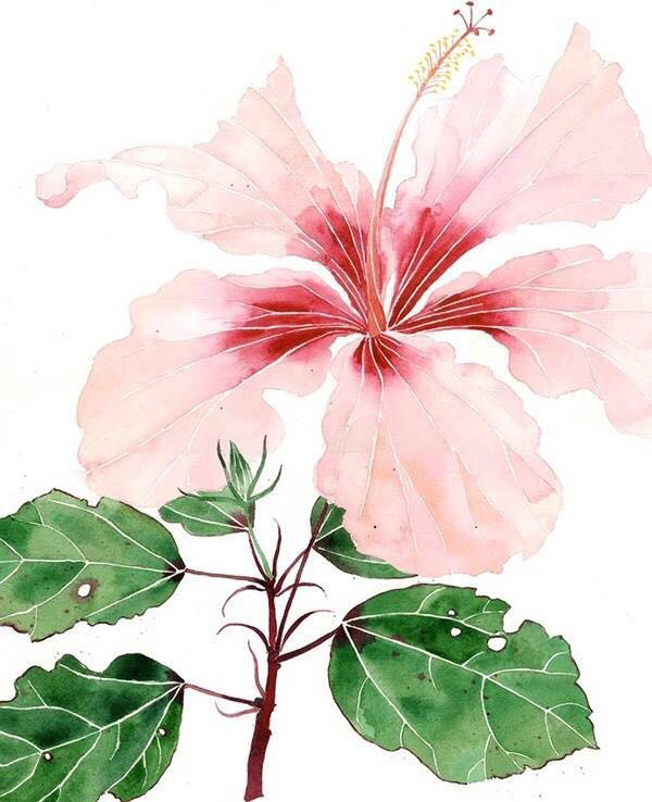 原味小魚的個人主頁（背景預(yù)覽） - 主頁背景設(shè)置 - 站酷設(shè)計師原味小魚原創(chuàng)素材 - 站酷ZCOOL