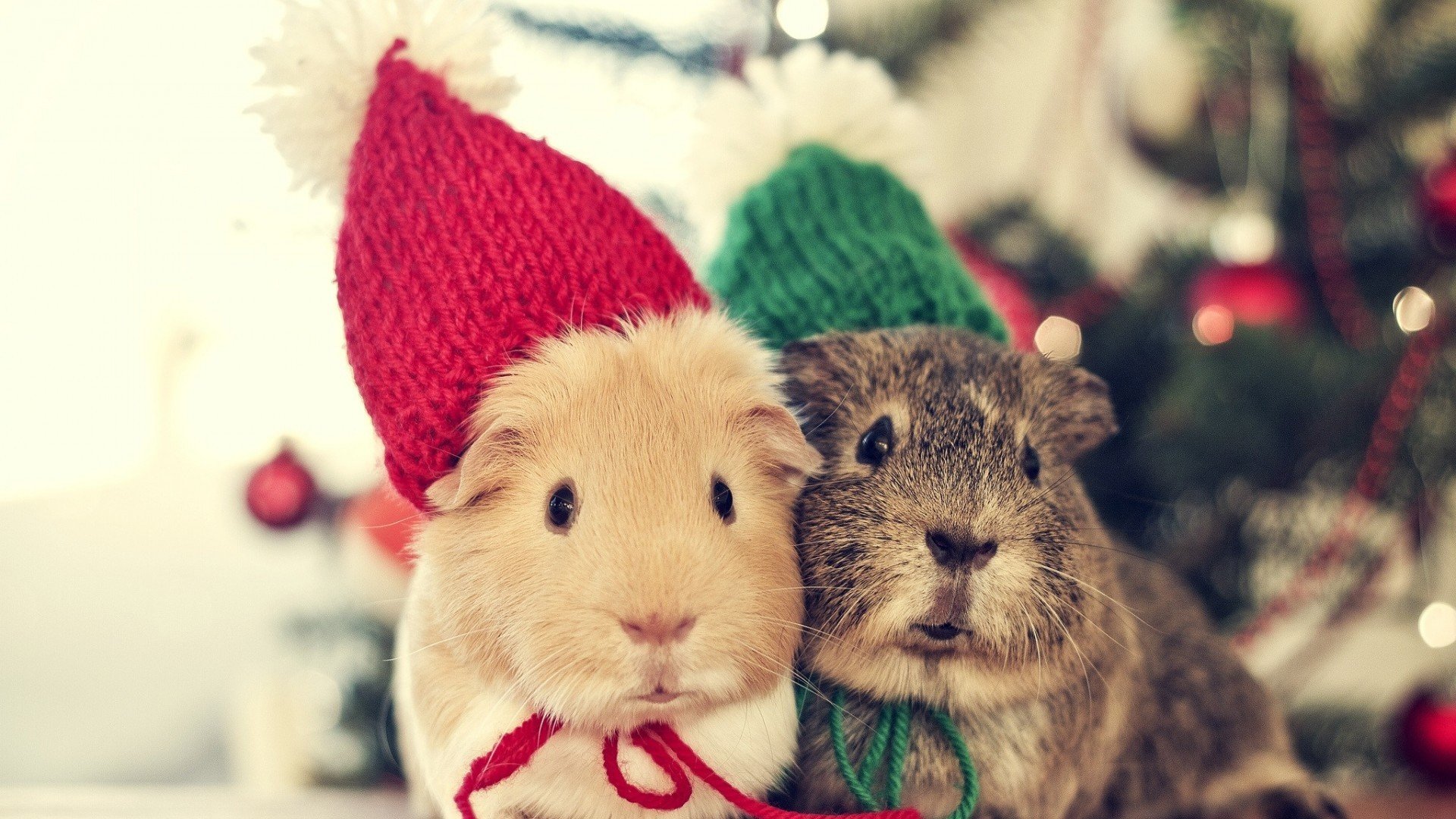 界白VoidLine的个人主页（背景预览） - 主页背景设置 - 站酷设计师界白VoidLine原创素材 - 站酷ZCOOL