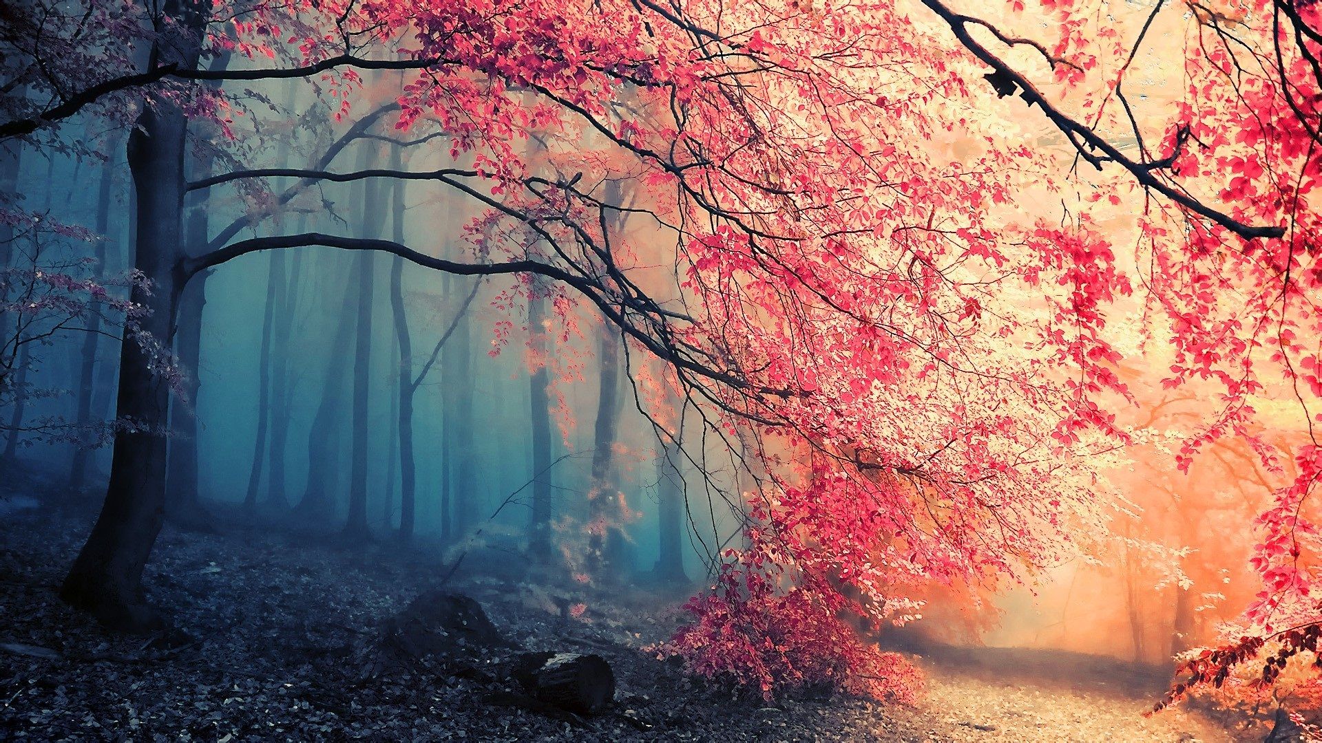 静水流深2522的个人主页（背景预览） - 主页背景设置 - 站酷设计师静水流深2522原创素材 - 站酷ZCOOL