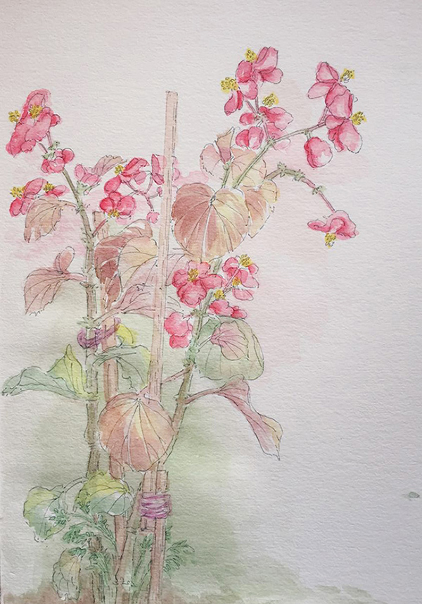 Grace也是插画师的个人主页（背景预览） - 主页背景设置 - 站酷设计师Grace也是插画师原创素材 - 站酷ZCOOL