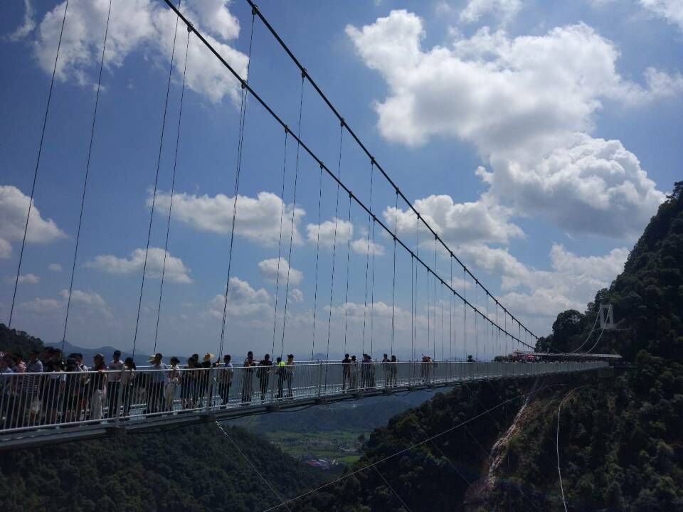 1115968373的个人主页（背景预览） - 主页背景设置 - 站酷设计师1115968373原创素材 - 站酷ZCOOL