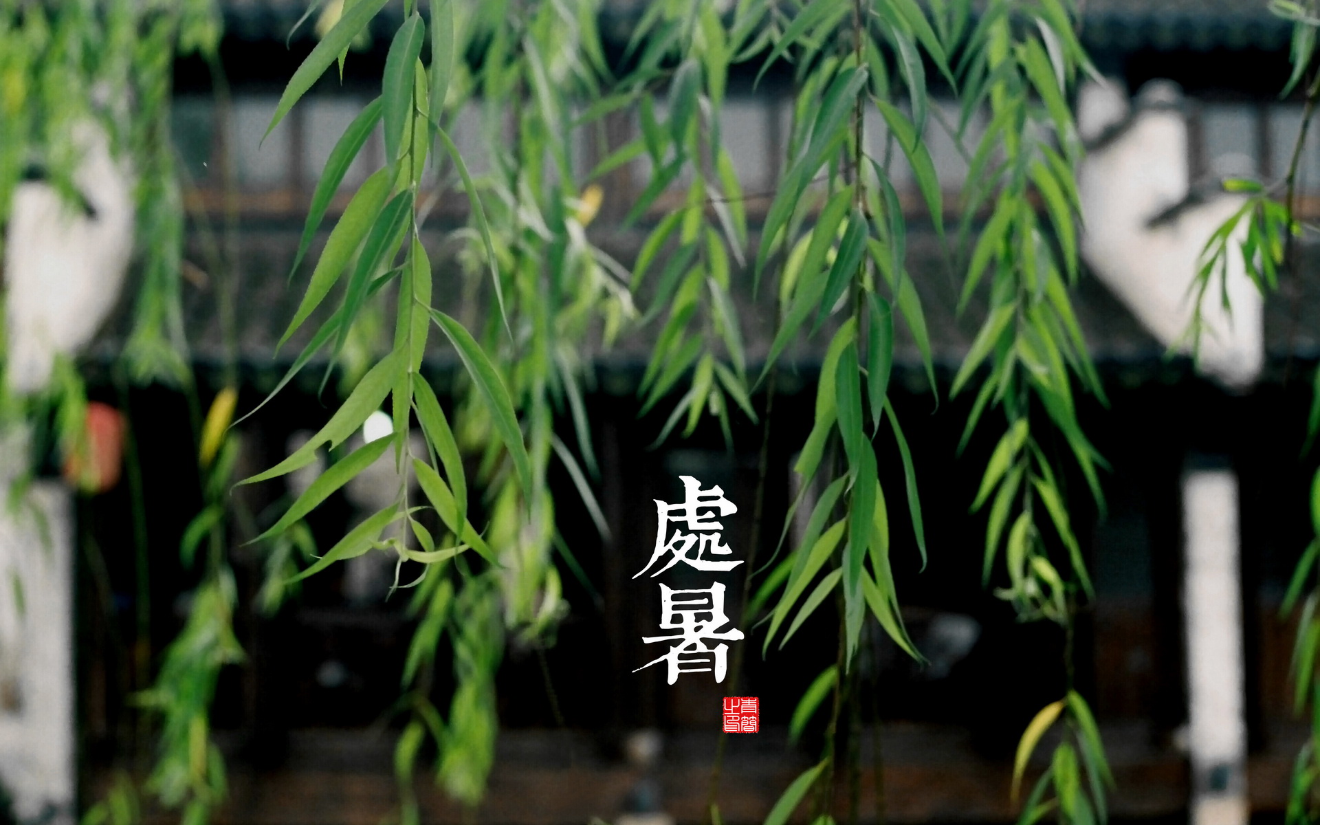 桔子大人了的個人主頁（背景預(yù)覽） - 主頁背景設(shè)置 - 站酷設(shè)計(jì)師桔子大人了原創(chuàng)素材 - 站酷ZCOOL