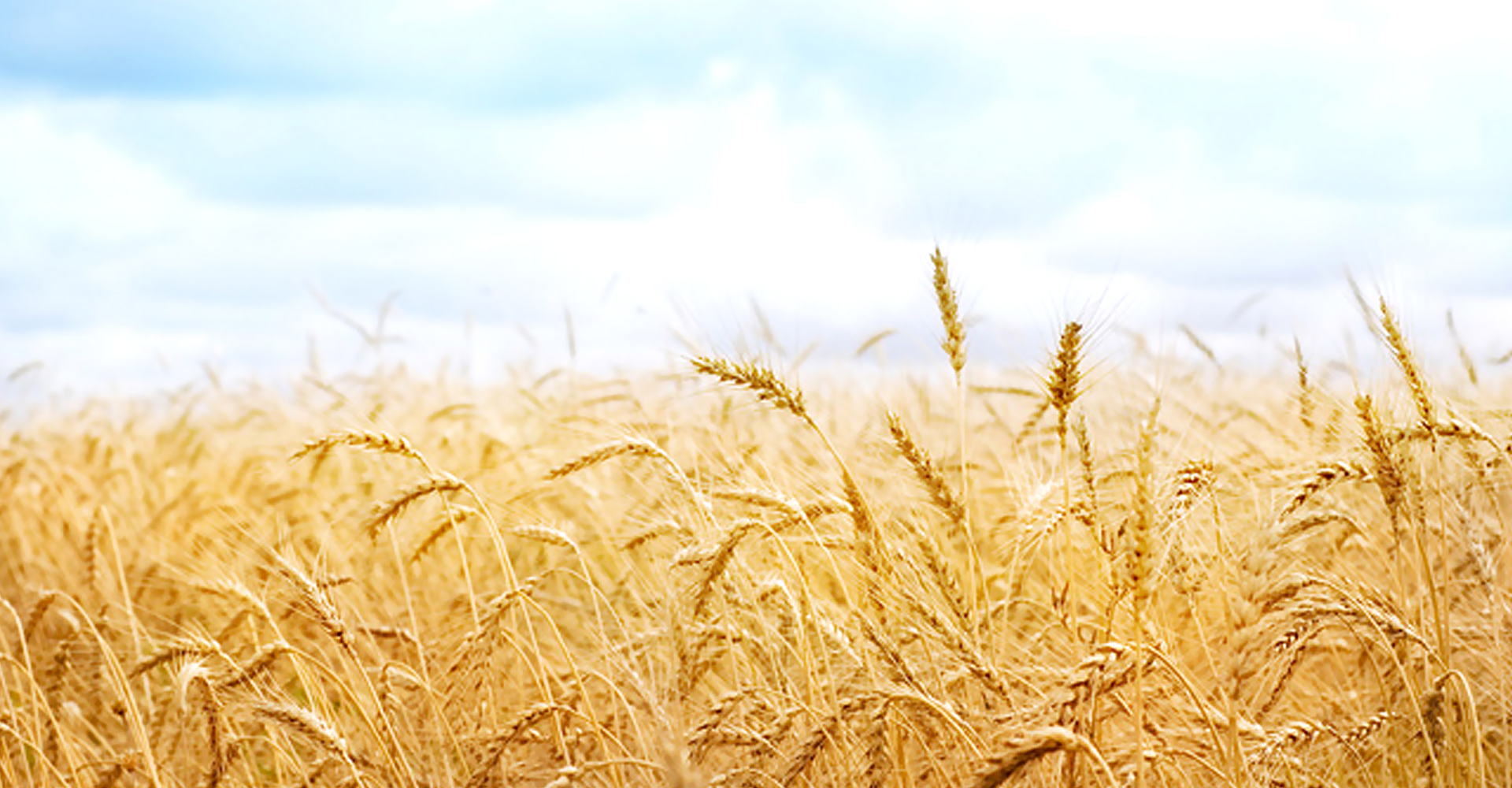 我們沒上吊的個(gè)人主頁（背景預(yù)覽） - 主頁背景設(shè)置 - 站酷設(shè)計(jì)師我們沒上吊原創(chuàng)素材 - 站酷ZCOOL