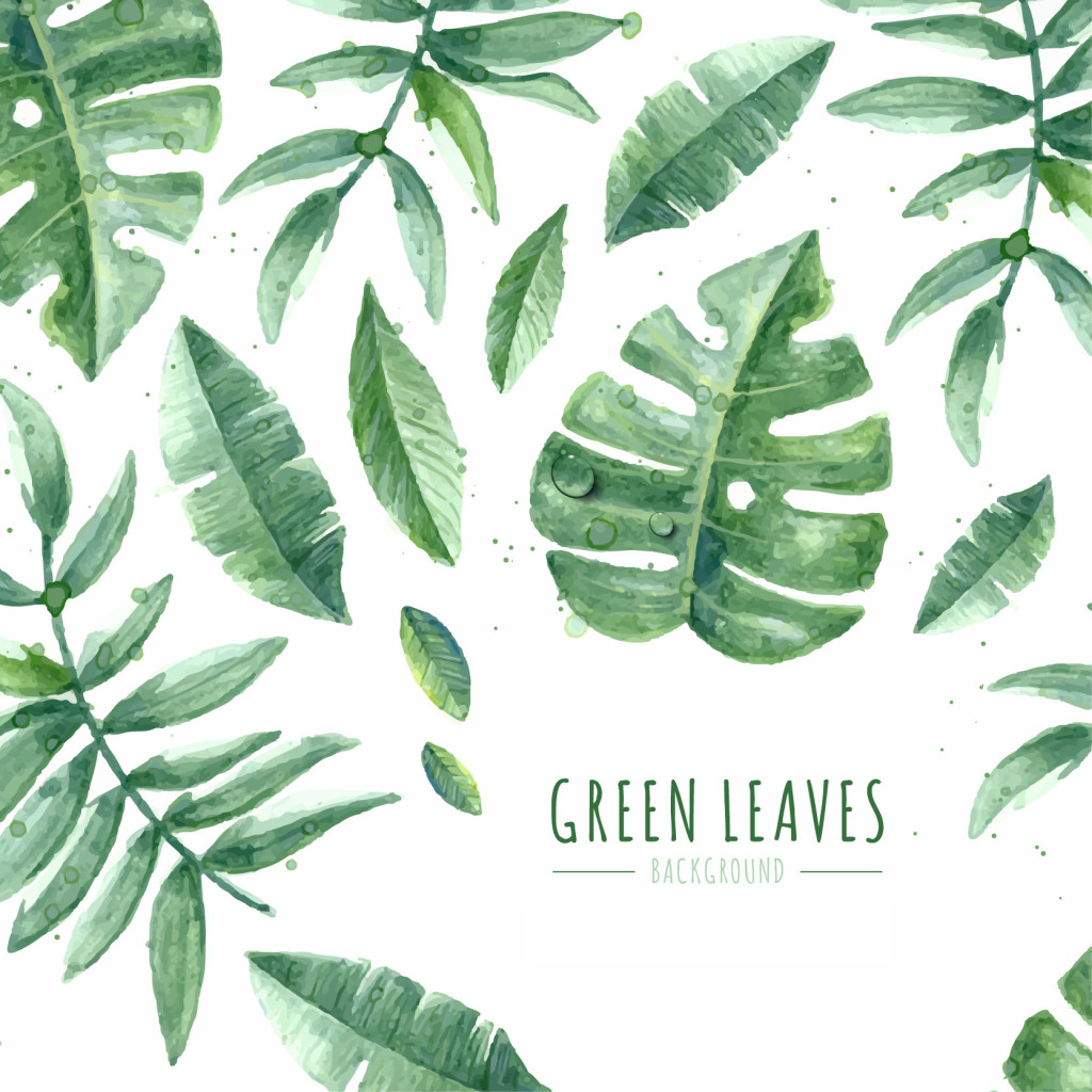 Judyliuqi的个人主页（背景预览） - 主页背景设置 - 站酷设计师Judyliuqi原创素材 - 站酷ZCOOL