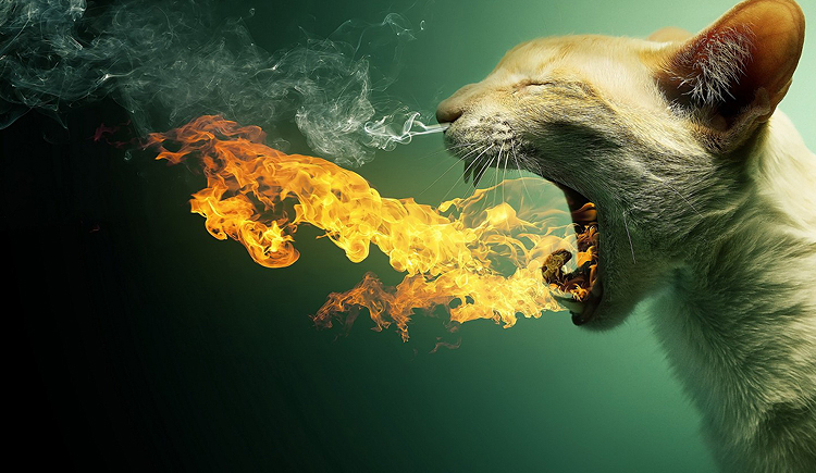 洋葱头0521的个人主页（背景预览） - 主页背景设置 - 站酷设计师洋葱头0521原创素材 - 站酷ZCOOL