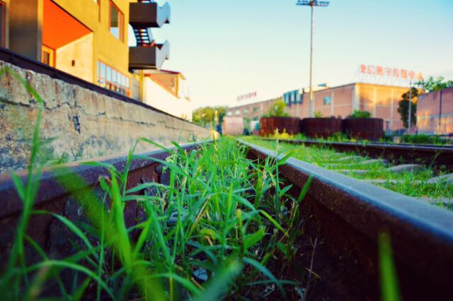 生如胡楊的個(gè)人主頁（背景預(yù)覽） - 主頁背景設(shè)置 - 站酷設(shè)計(jì)師生如胡楊原創(chuàng)素材 - 站酷ZCOOL