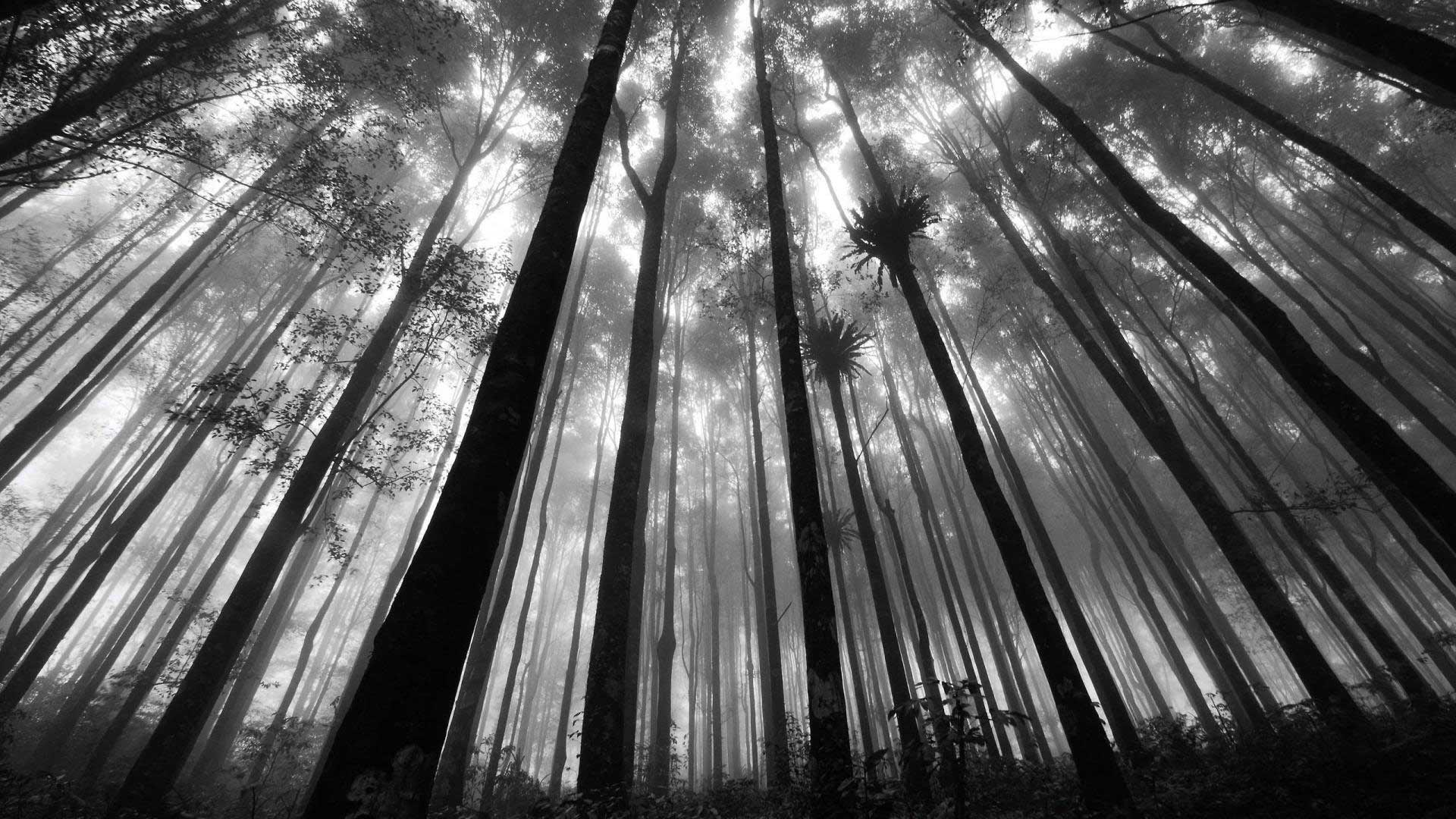 自然而蓝的个人主页（背景预览） - 主页背景设置 - 站酷设计师自然而蓝原创素材 - 站酷ZCOOL