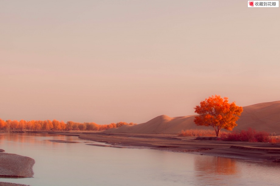 若宣子的個人主頁（背景預(yù)覽） - 主頁背景設(shè)置 - 站酷設(shè)計師若宣子原創(chuàng)素材 - 站酷ZCOOL