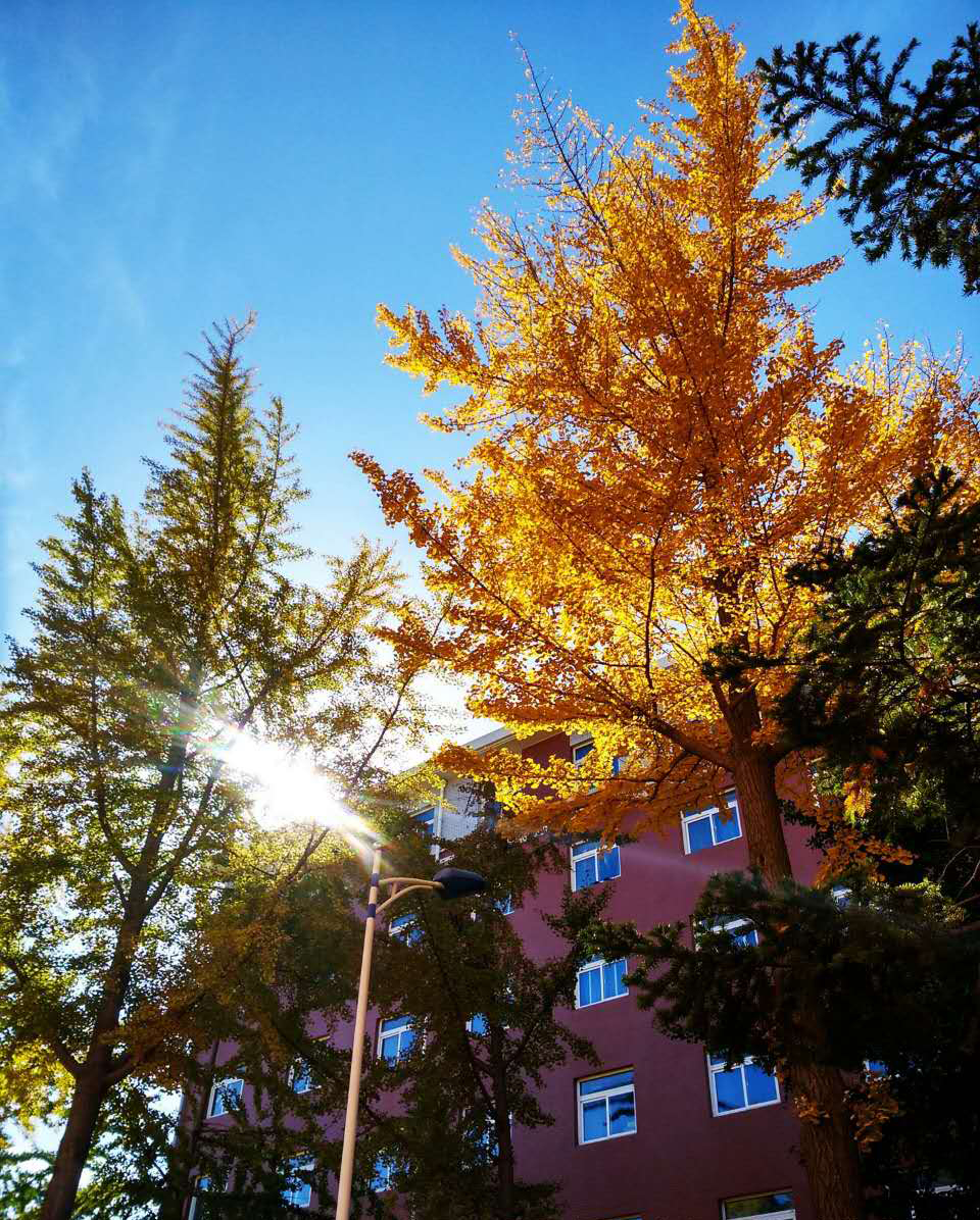 俩岁以上挂吊瓶的个人主页（背景预览） - 主页背景设置 - 站酷设计师俩岁以上挂吊瓶原创素材 - 站酷ZCOOL