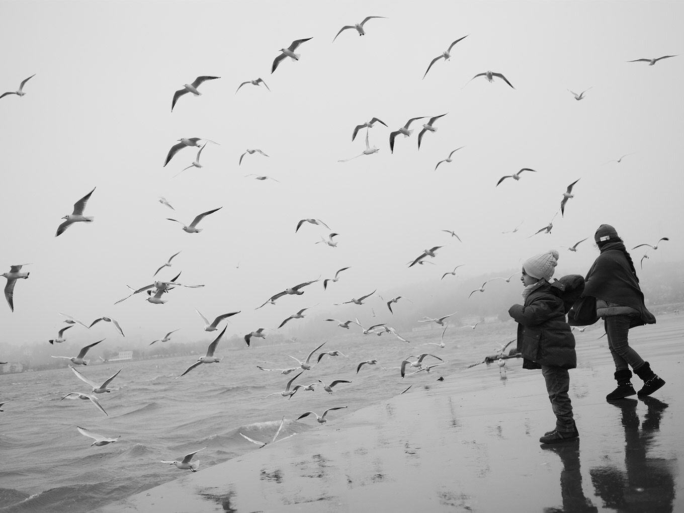 大洛洛1998的个人主页（背景预览） - 主页背景设置 - 站酷设计师大洛洛1998原创素材 - 站酷ZCOOL