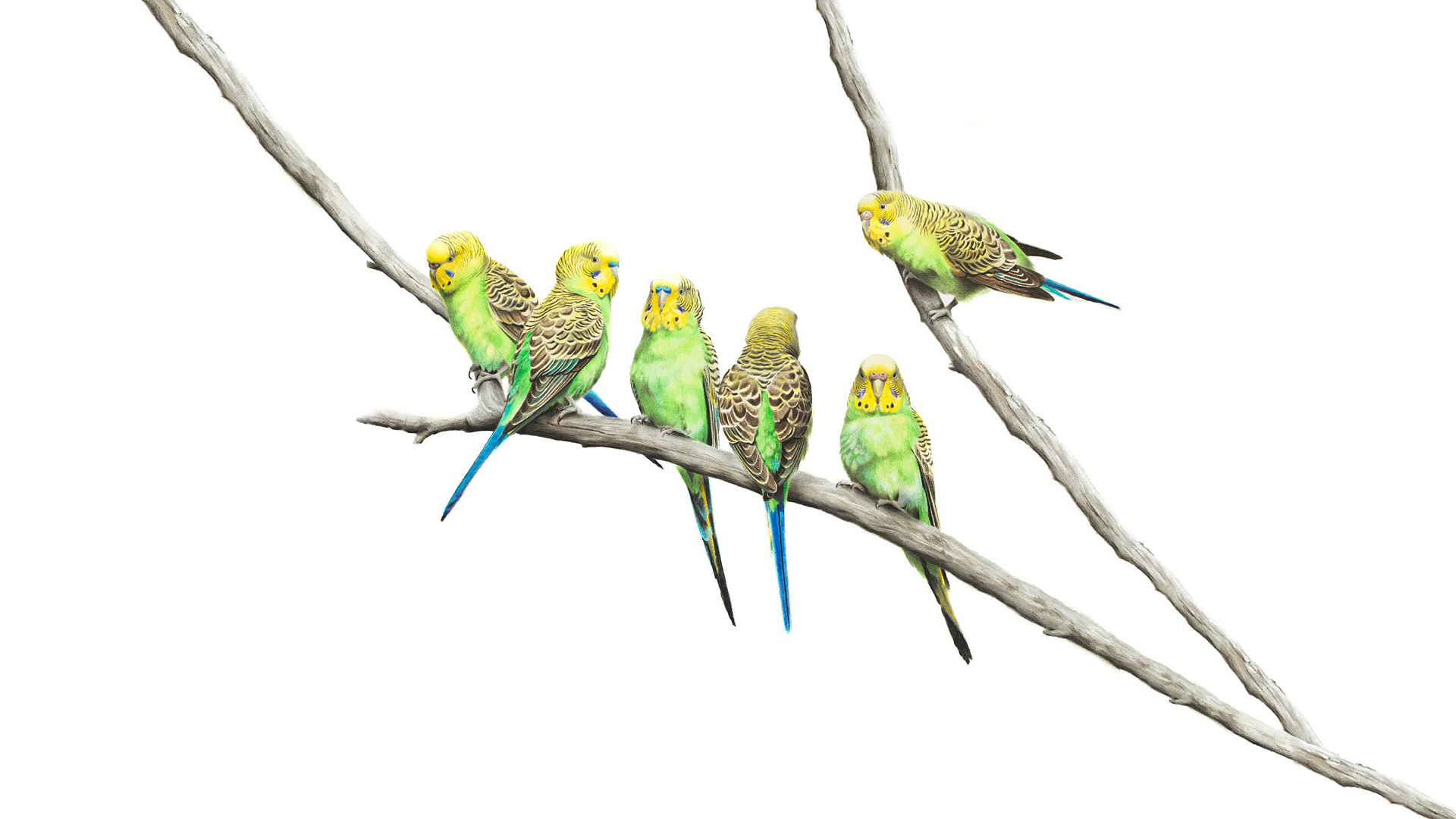 Roper20的个人主页（背景预览） - 主页背景设置 - 站酷设计师Roper20原创素材 - 站酷ZCOOL