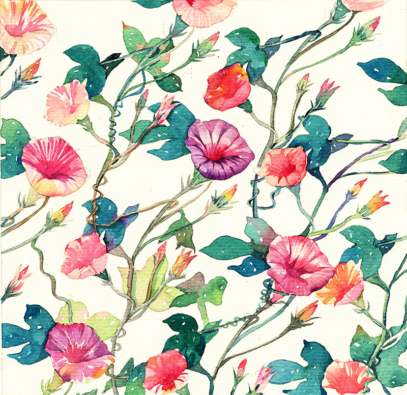 小恰子的个人主页（背景预览） - 主页背景设置 - 站酷设计师小恰子原创素材 - 站酷ZCOOL