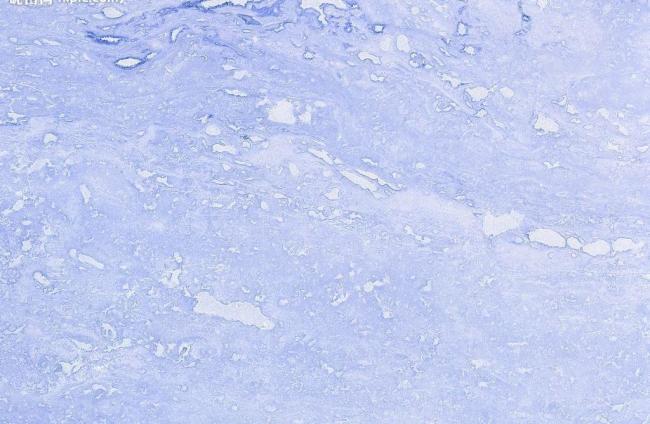 Jennn的个人主页（背景预览） - 主页背景设置 - 站酷设计师Jennn原创素材 - 站酷ZCOOL