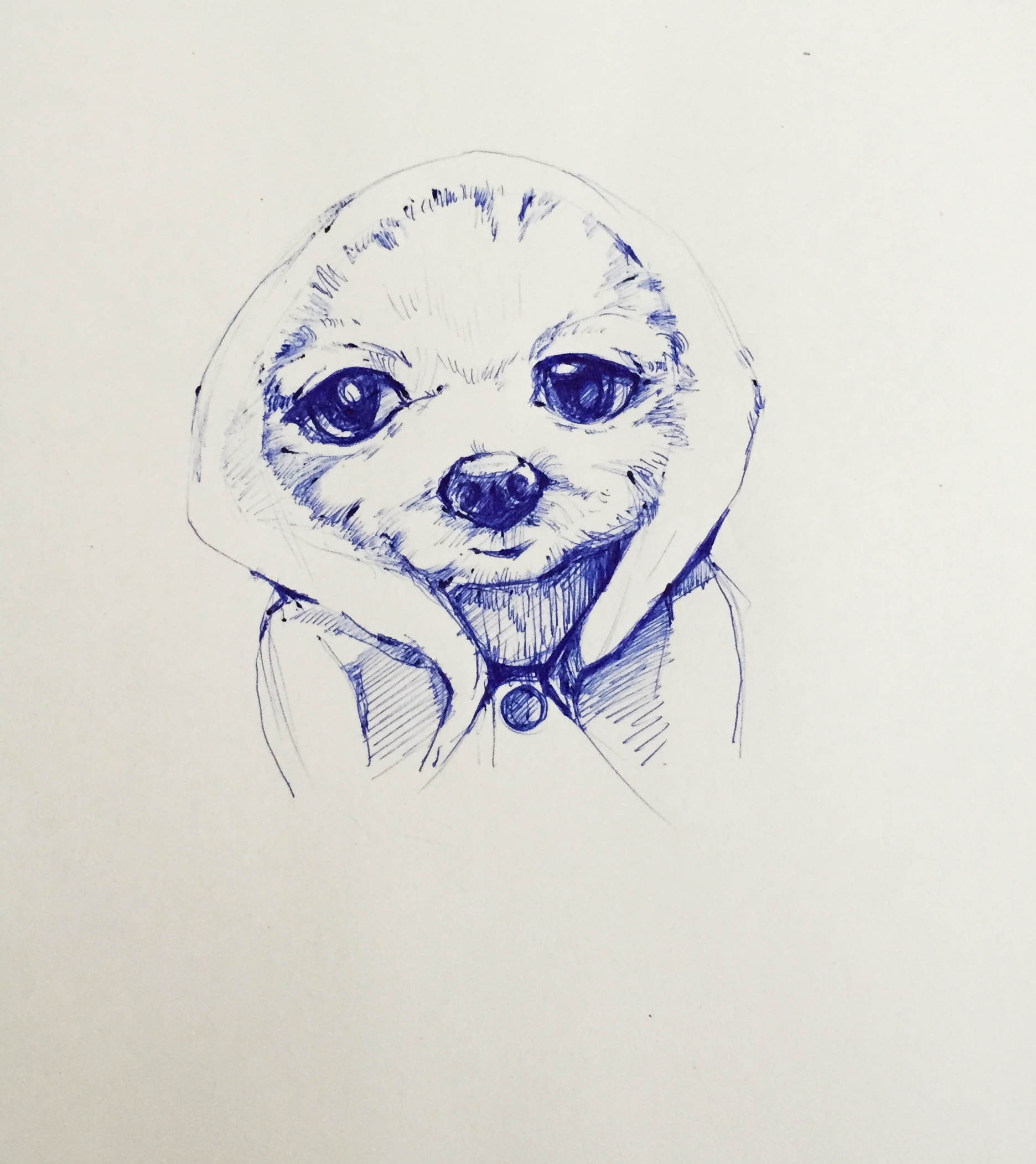 奔跑的兔妮的个人主页（背景预览） - 主页背景设置 - 站酷设计师奔跑的兔妮原创素材 - 站酷ZCOOL