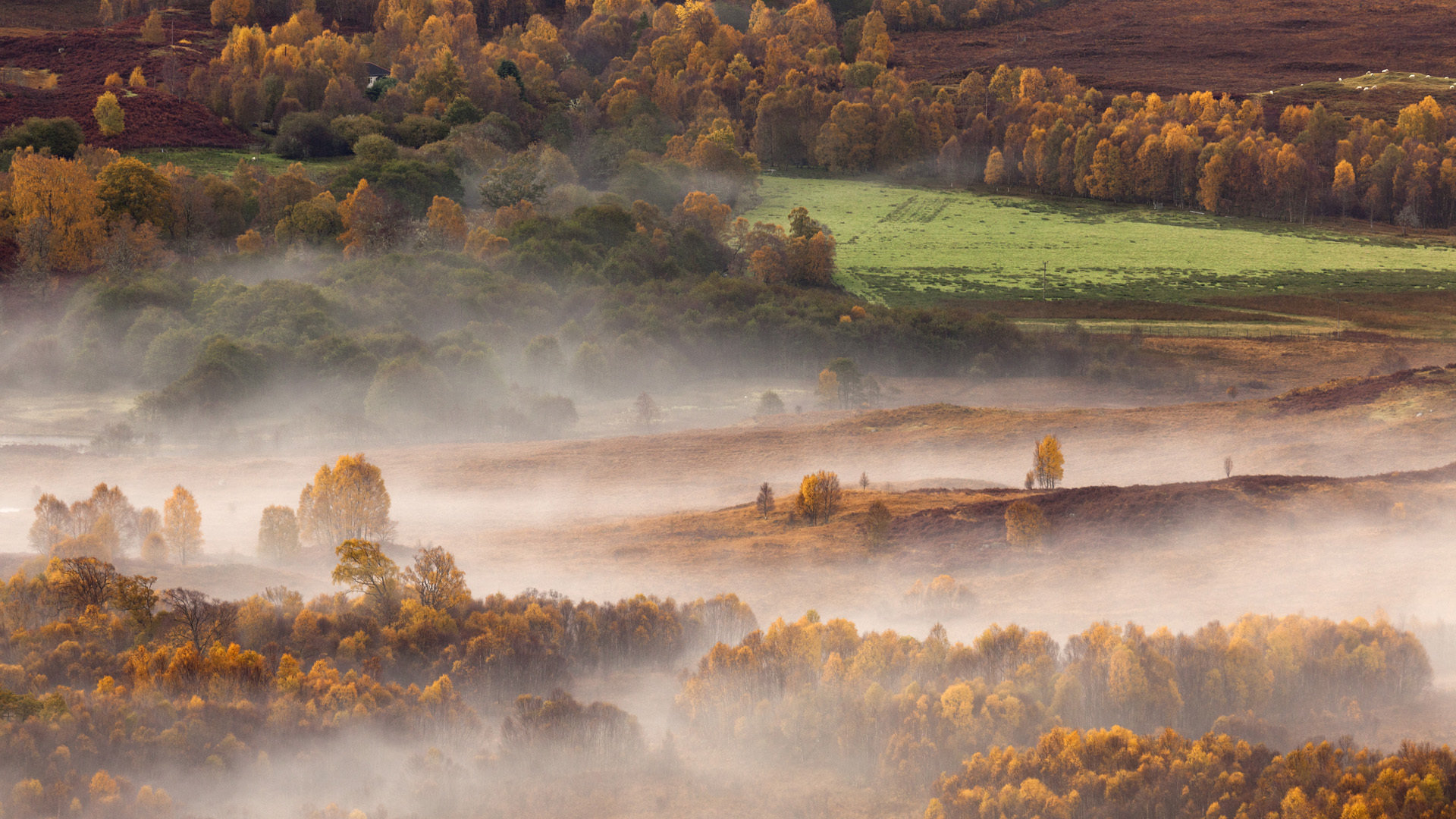丶Whale的个人主页（背景预览） - 主页背景设置 - 站酷设计师丶Whale原创素材 - 站酷ZCOOL