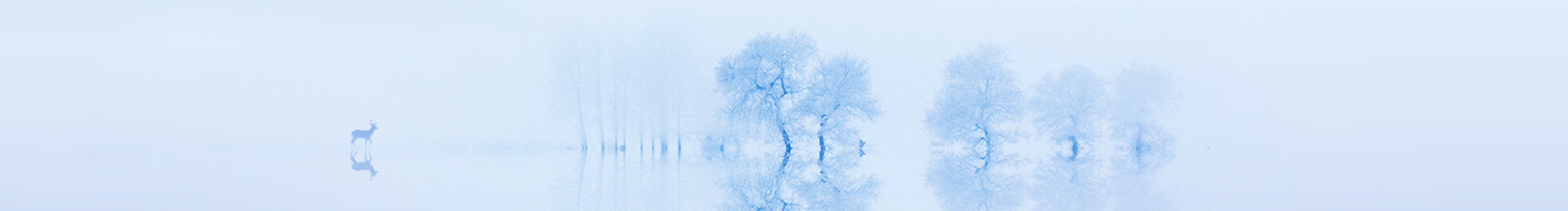 VelvetRabbit的個人主頁（背景預覽） - 主頁背景設置 - 站酷設計師VelvetRabbit原創(chuàng)素材 - 站酷ZCOOL