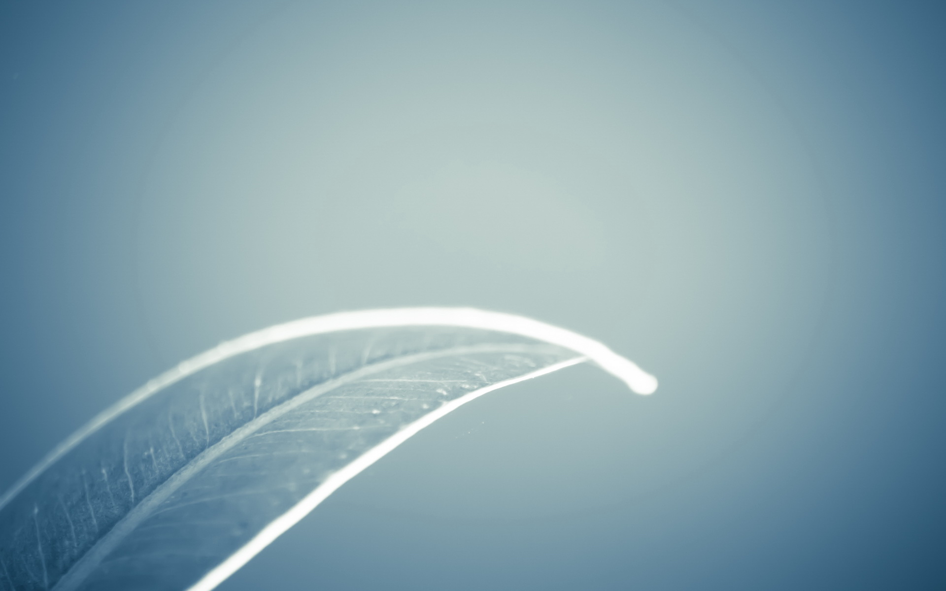 夏日幽默的个人主页（背景预览） - 主页背景设置 - 站酷设计师夏日幽默原创素材 - 站酷ZCOOL