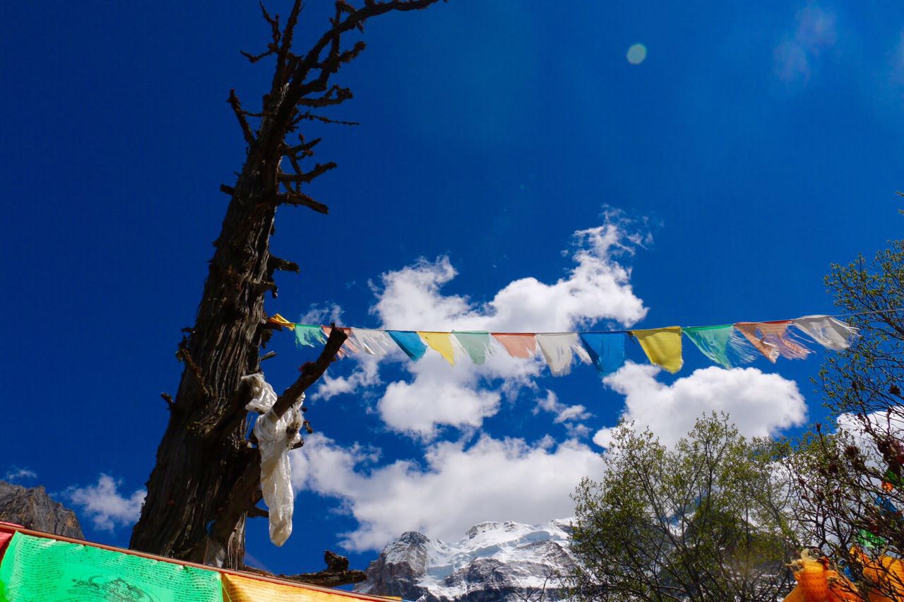 止语青荇的个人主页（背景预览） - 主页背景设置 - 站酷设计师止语青荇原创素材 - 站酷ZCOOL