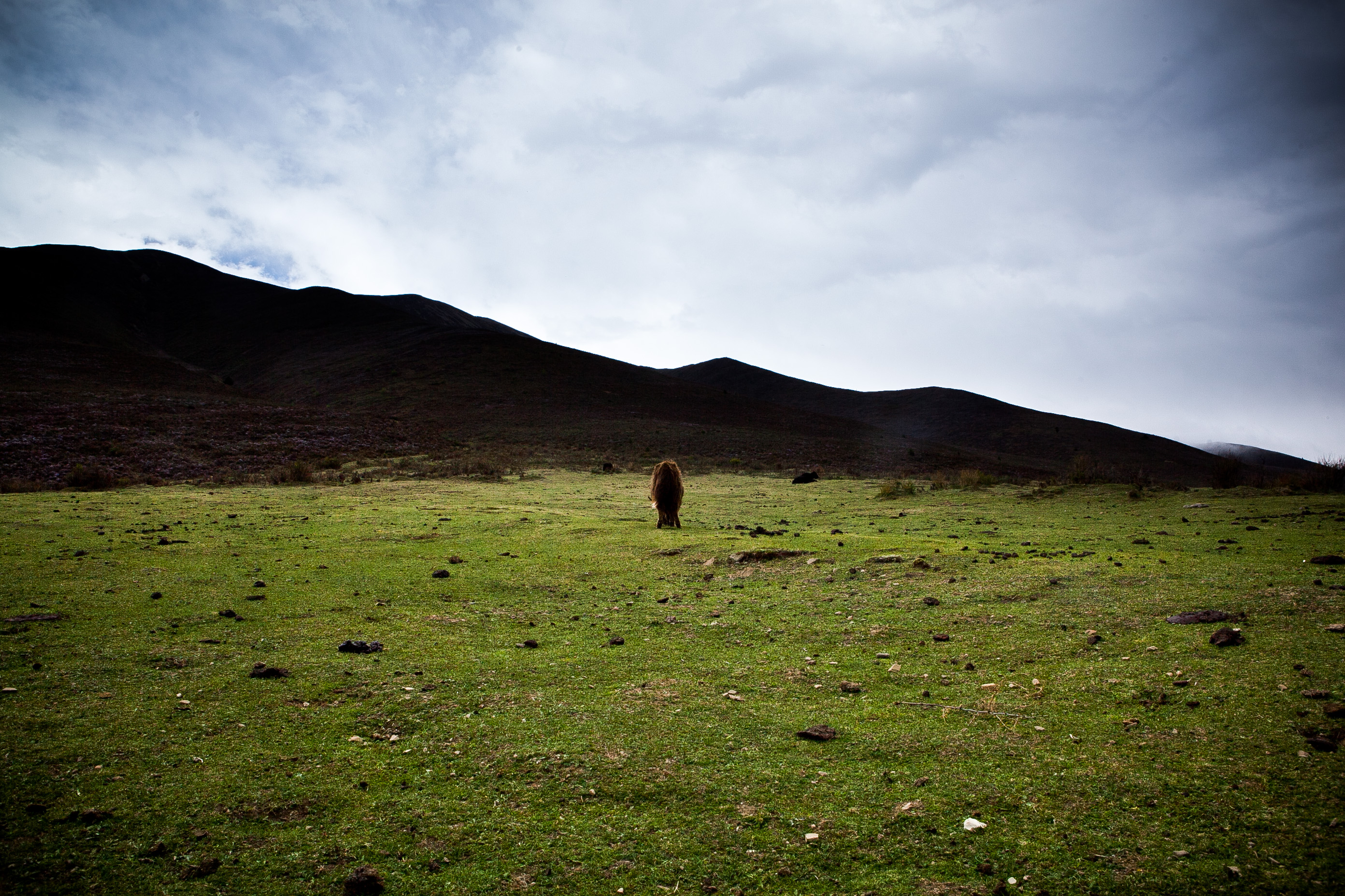 达尔达尼洋的个人主页（背景预览） - 主页背景设置 - 站酷设计师达尔达尼洋原创素材 - 站酷ZCOOL