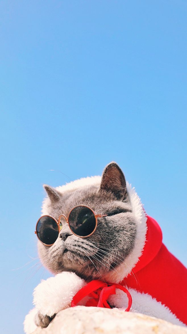 小鱼吐泡泡布鲁的个人主页（背景预览） - 主页背景设置 - 站酷设计师小鱼吐泡泡布鲁原创素材 - 站酷ZCOOL