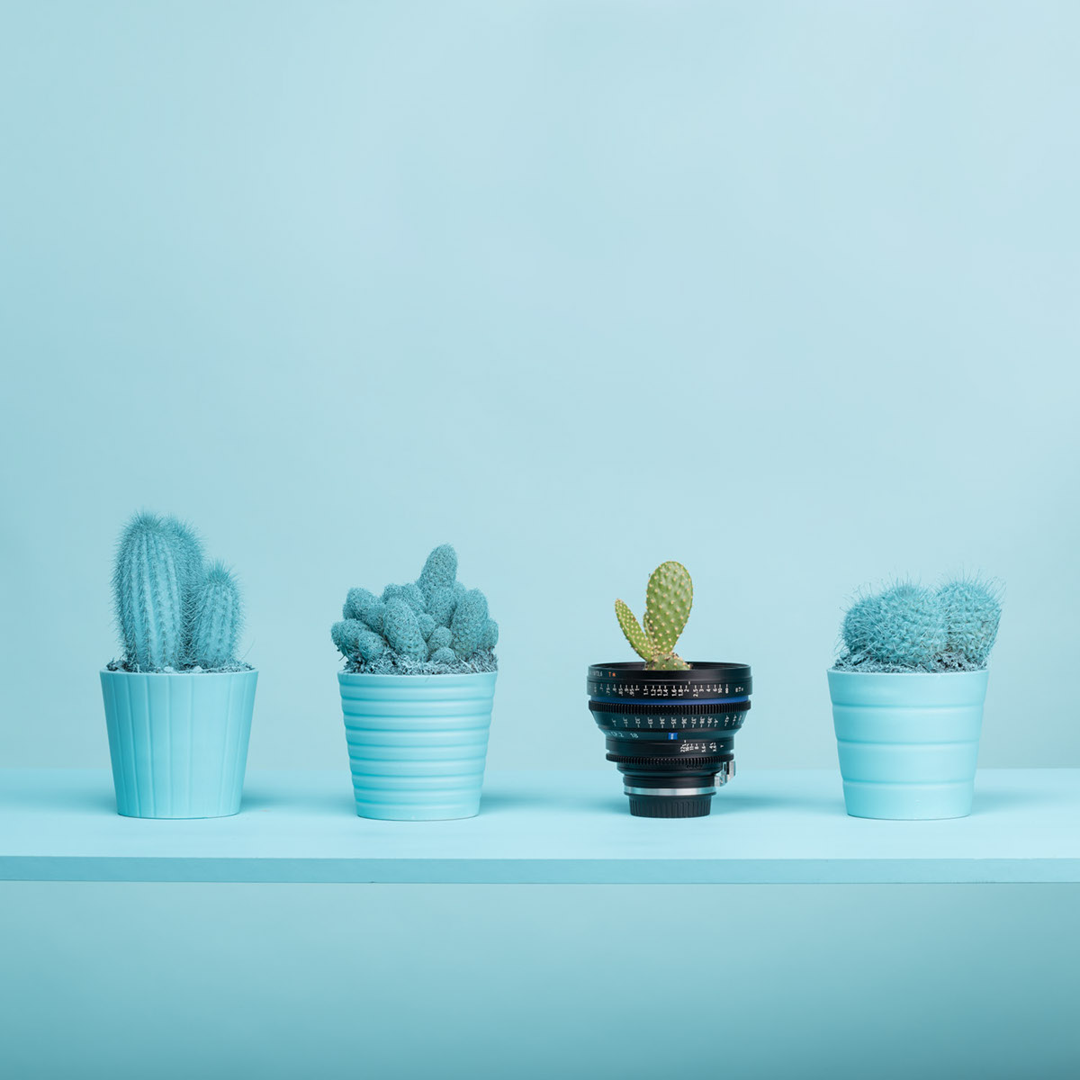 小碎花子的个人主页（背景预览） - 主页背景设置 - 站酷设计师小碎花子原创素材 - 站酷ZCOOL