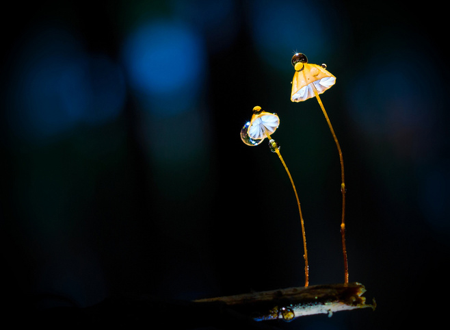 沉默的编织者的个人主页（背景预览） - 主页背景设置 - 站酷设计师沉默的编织者原创素材 - 站酷ZCOOL