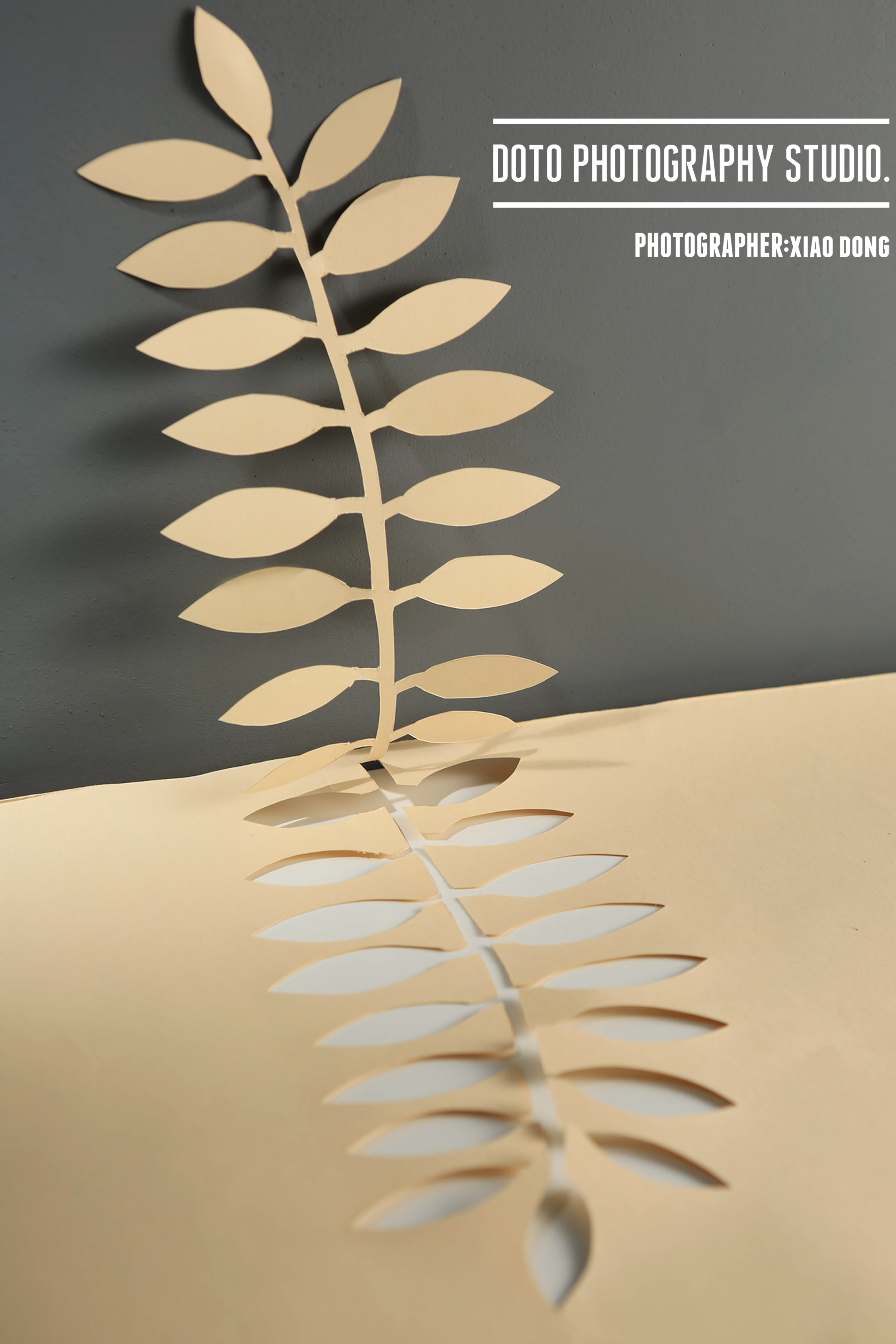 攝影師曉東的個人主頁（背景預(yù)覽） - 主頁背景設(shè)置 - 站酷設(shè)計(jì)師攝影師曉東原創(chuàng)素材 - 站酷ZCOOL