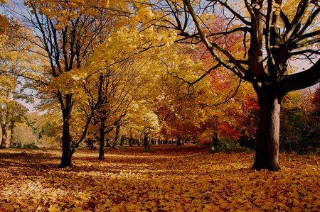 空白调色盘的个人主页（背景预览） - 主页背景设置 - 站酷设计师空白调色盘原创素材 - 站酷ZCOOL