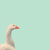 超人腰酸腿疼的個人主頁（背景預(yù)覽） - 主頁背景設(shè)置 - 站酷設(shè)計師超人腰酸腿疼原創(chuàng)素材 - 站酷ZCOOL