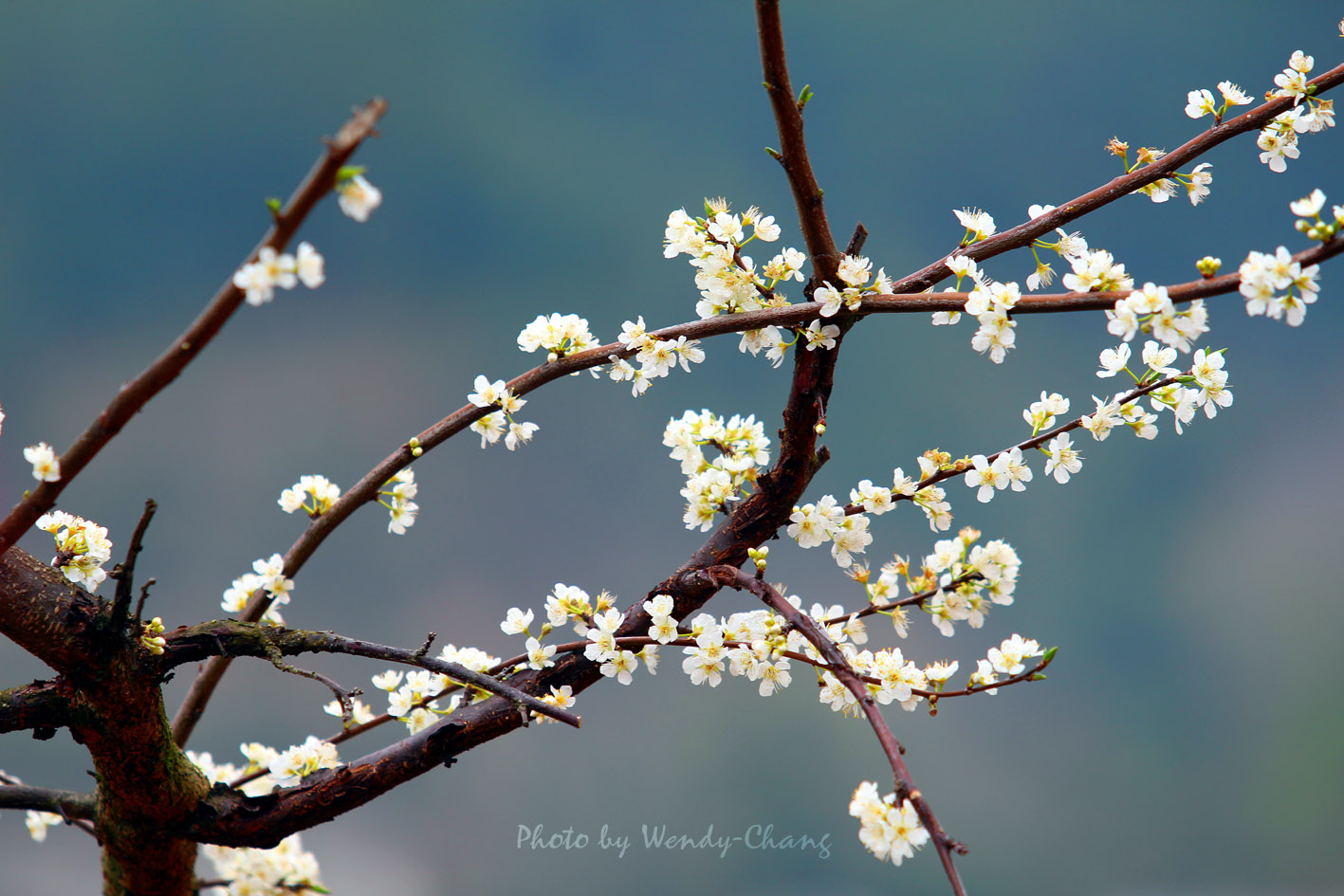 wendy_tsang的个人主页（背景预览） - 主页背景设置 - 站酷设计师wendy_tsang原创素材 - 站酷ZCOOL