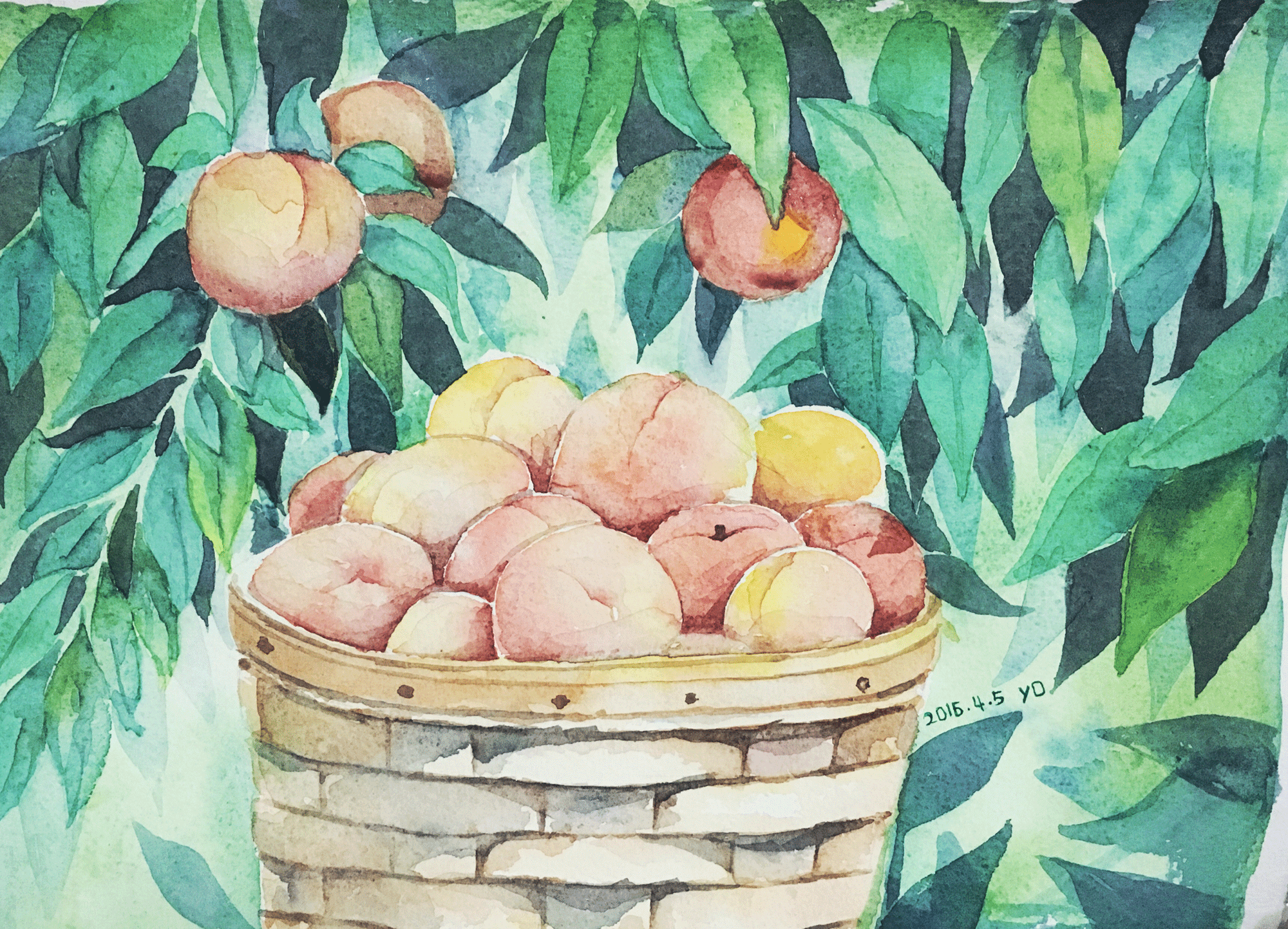 有柚子的个人主页（背景预览） - 主页背景设置 - 站酷设计师有柚子原创素材 - 站酷ZCOOL