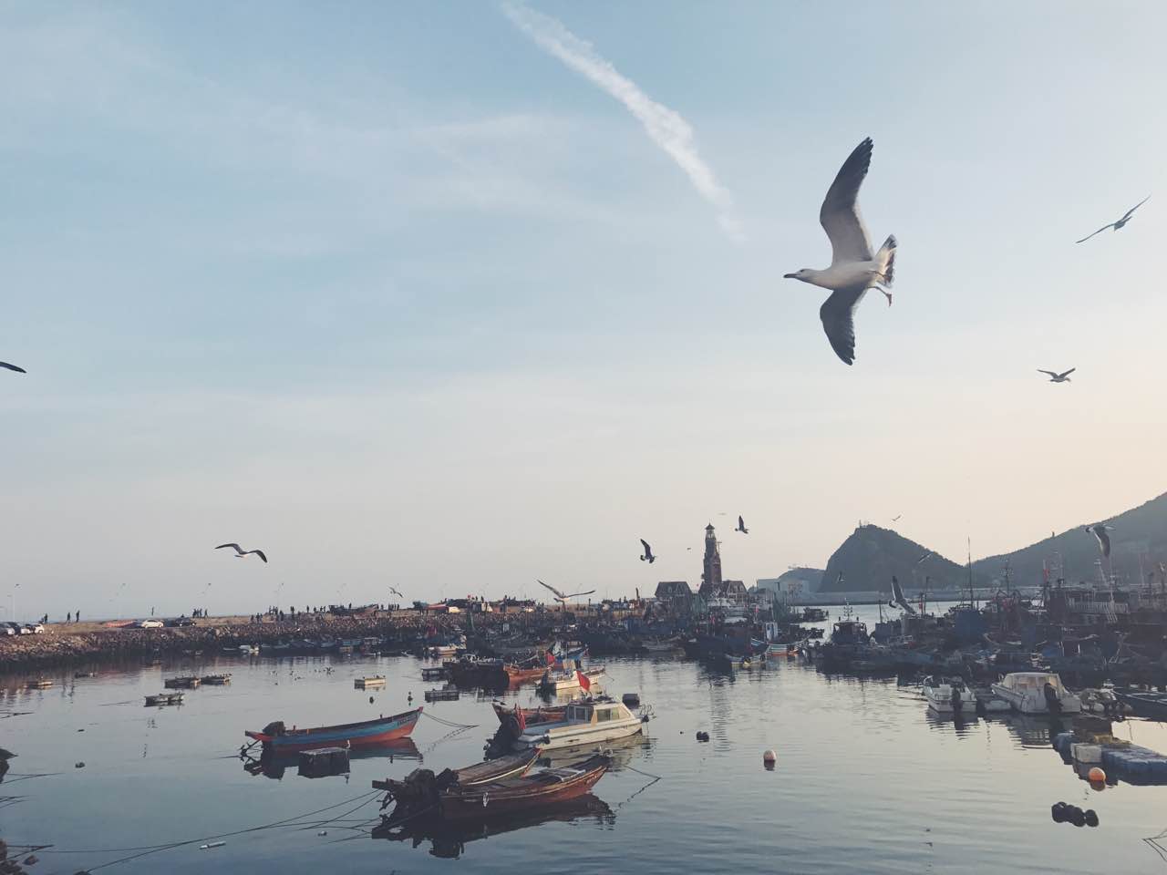 MemorySzabo的个人主页（背景预览） - 主页背景设置 - 站酷设计师MemorySzabo原创素材 - 站酷ZCOOL