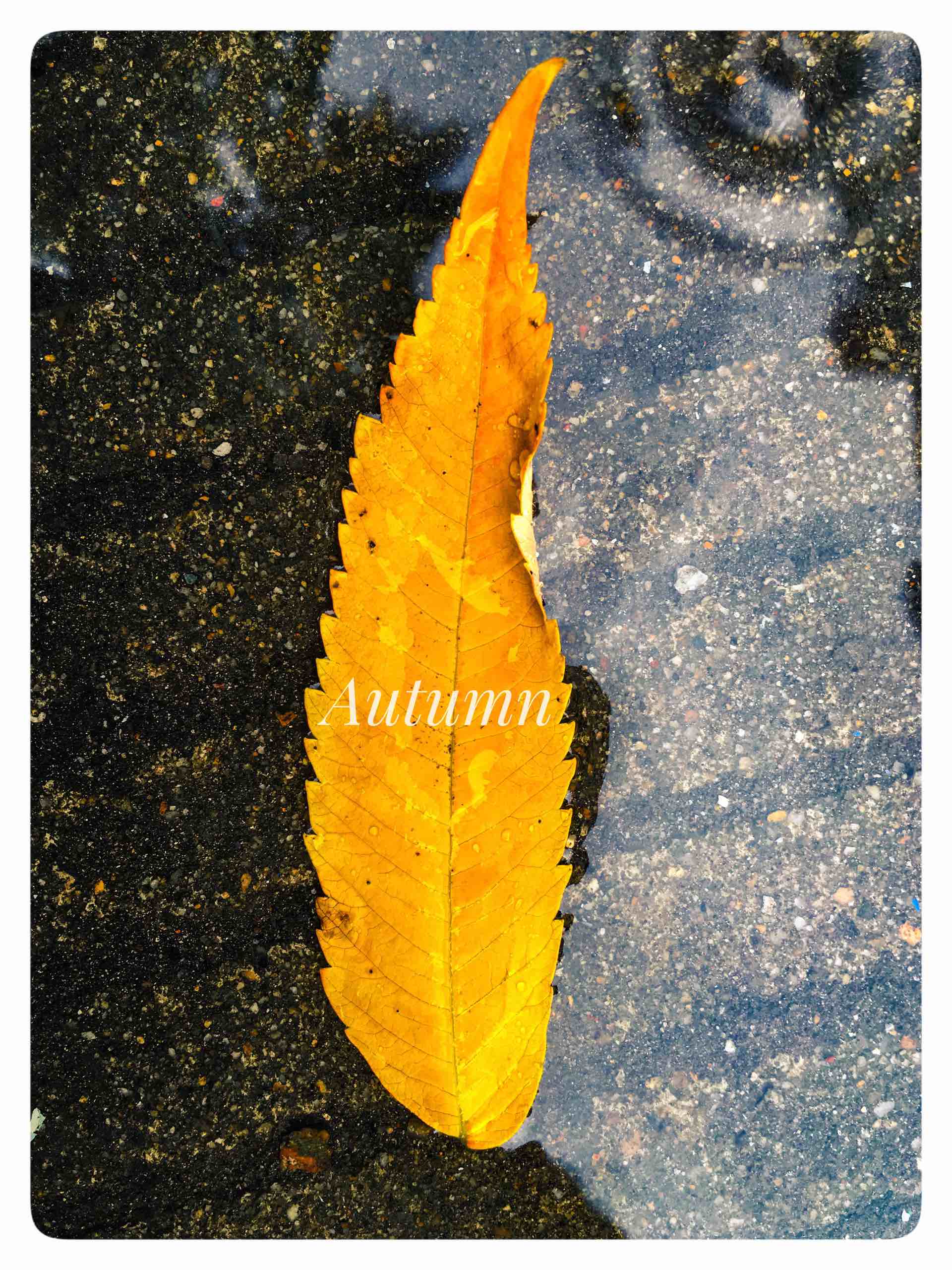 AvrilChris的個(gè)人主頁(yè)（背景預(yù)覽） - 主頁(yè)背景設(shè)置 - 站酷設(shè)計(jì)師AvrilChris原創(chuàng)素材 - 站酷ZCOOL