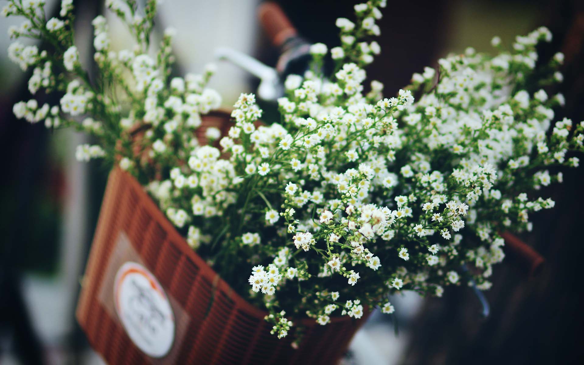 柴柴_Claire的个人主页（背景预览） - 主页背景设置 - 站酷设计师柴柴_Claire原创素材 - 站酷ZCOOL