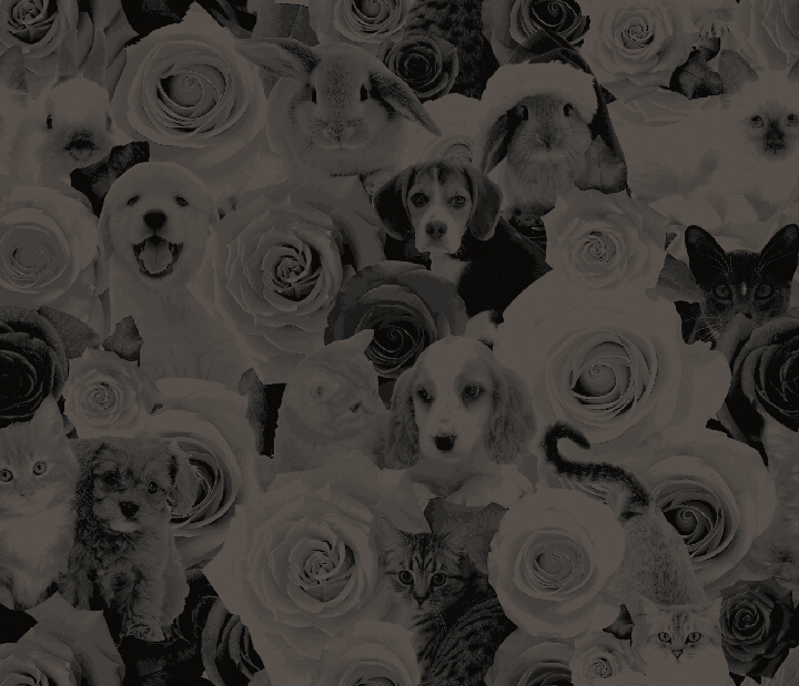 三生3314的个人主页（背景预览） - 主页背景设置 - 站酷设计师三生3314原创素材 - 站酷ZCOOL