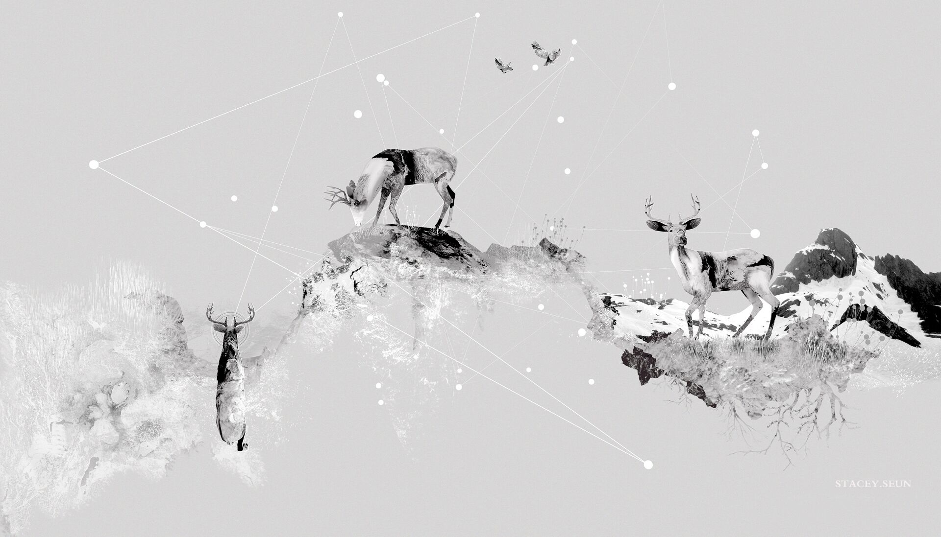 staceyseun的个人主页（背景预览） - 主页背景设置 - 站酷设计师staceyseun原创素材 - 站酷ZCOOL