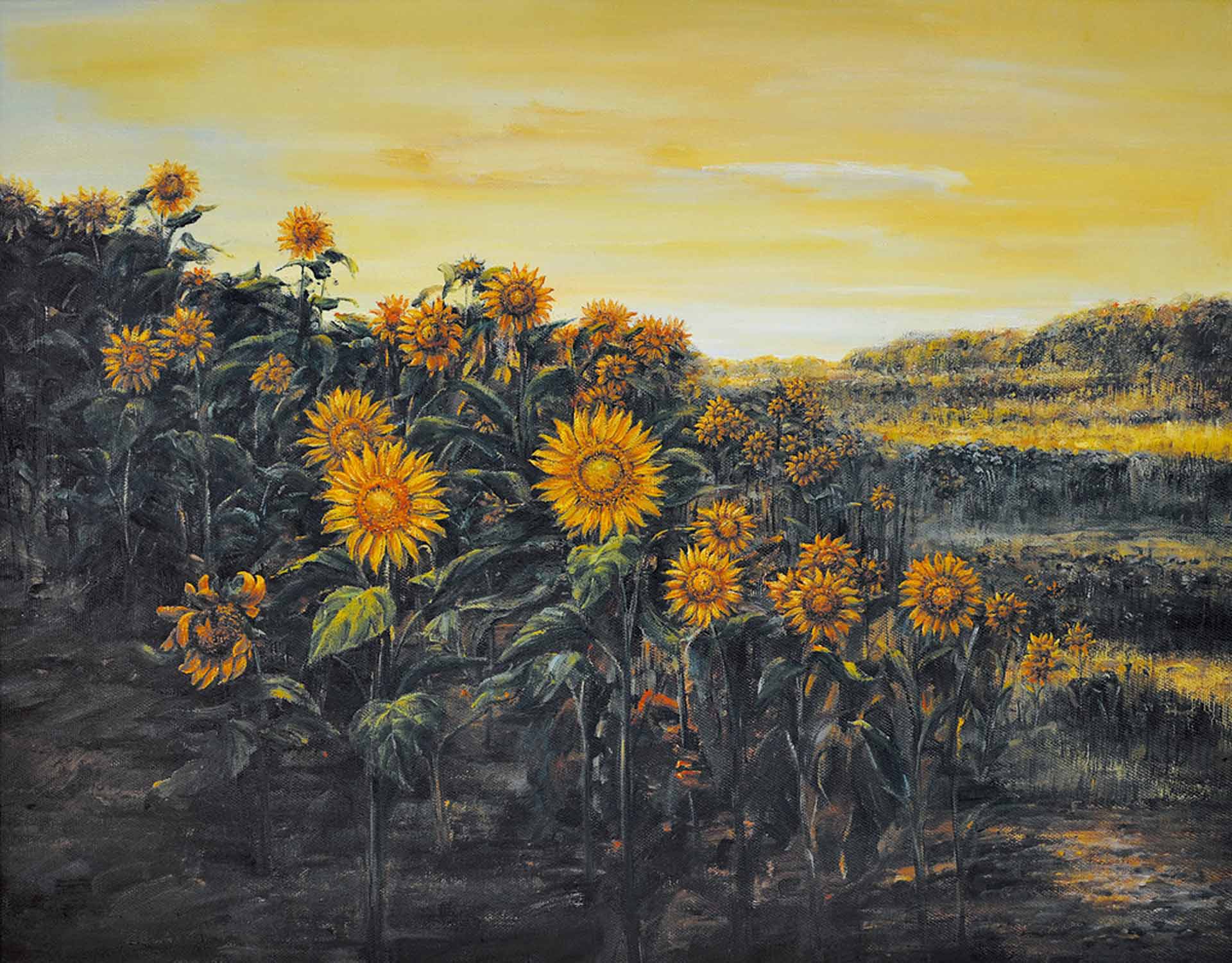 TT92的个人主页（背景预览） - 主页背景设置 - 站酷设计师TT92原创素材 - 站酷ZCOOL