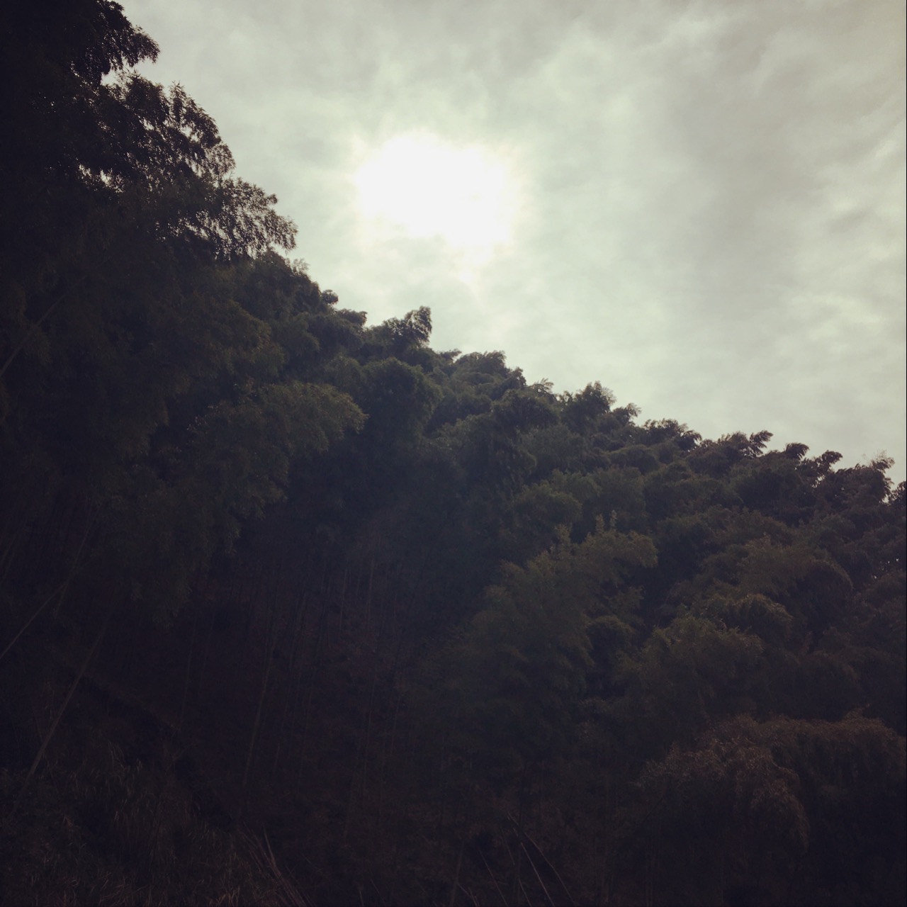 白安酱的个人主页（背景预览） - 主页背景设置 - 站酷设计师白安酱原创素材 - 站酷ZCOOL