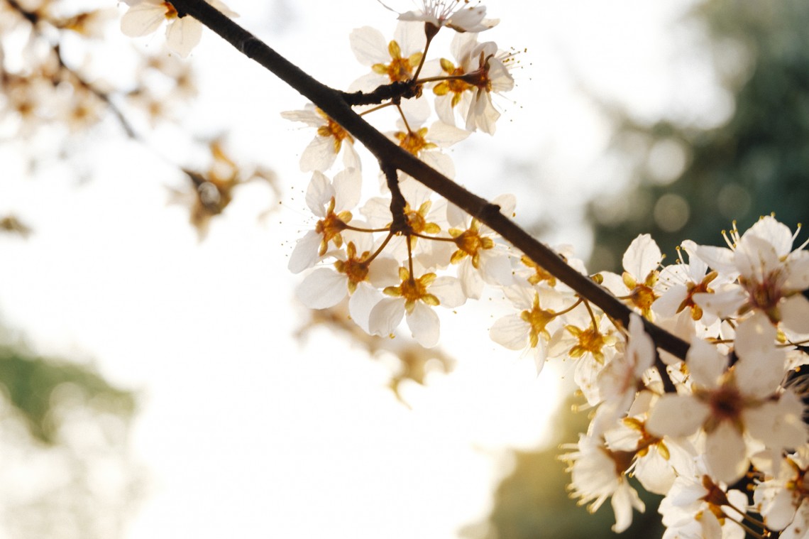 zhuzhuying123的個人主頁（背景預(yù)覽） - 主頁背景設(shè)置 - 站酷設(shè)計(jì)師zhuzhuying123原創(chuàng)素材 - 站酷ZCOOL