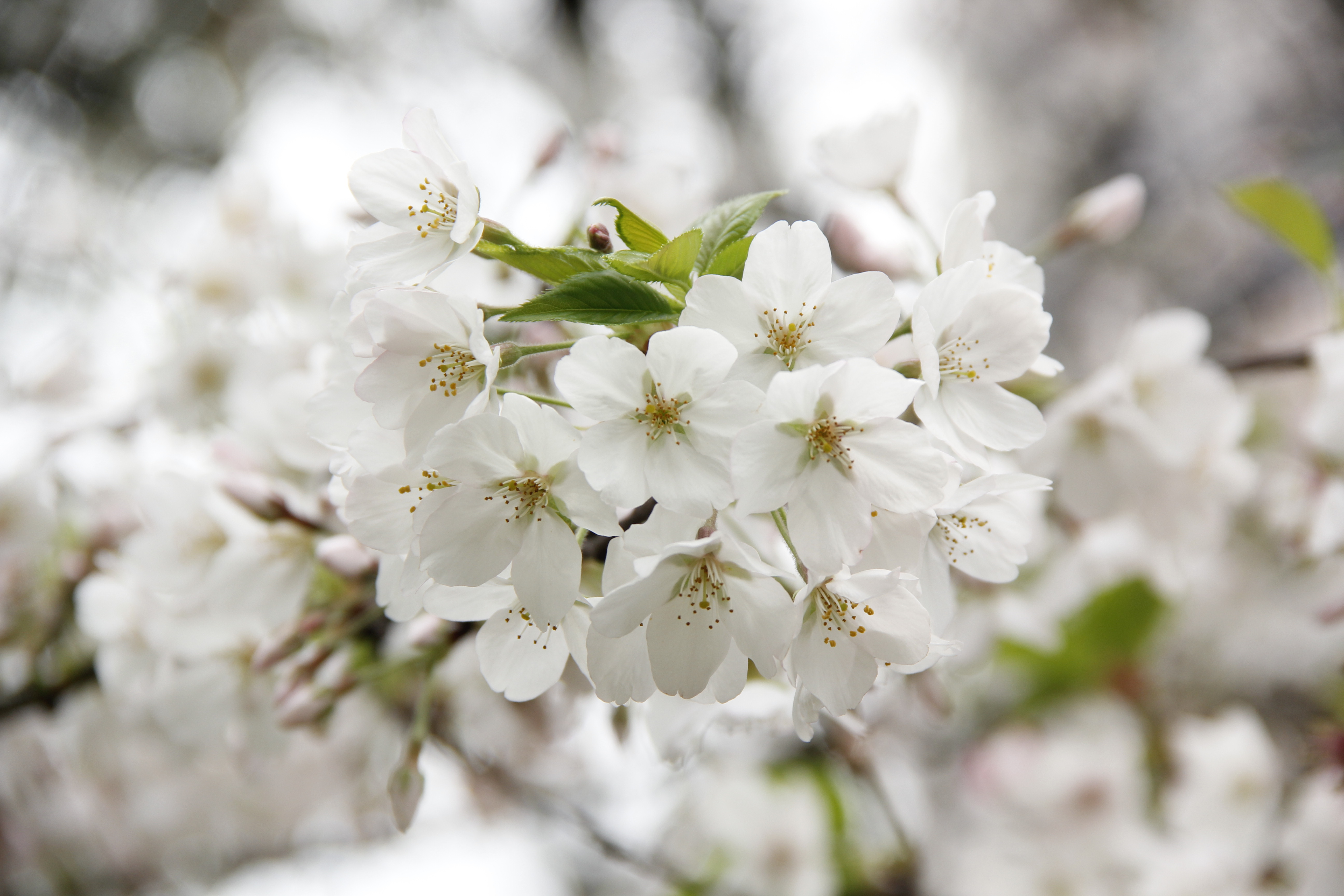 yuuuu_wei的個人主頁（背景預覽） - 主頁背景設(shè)置 - 站酷設(shè)計師yuuuu_wei原創(chuàng)素材 - 站酷ZCOOL