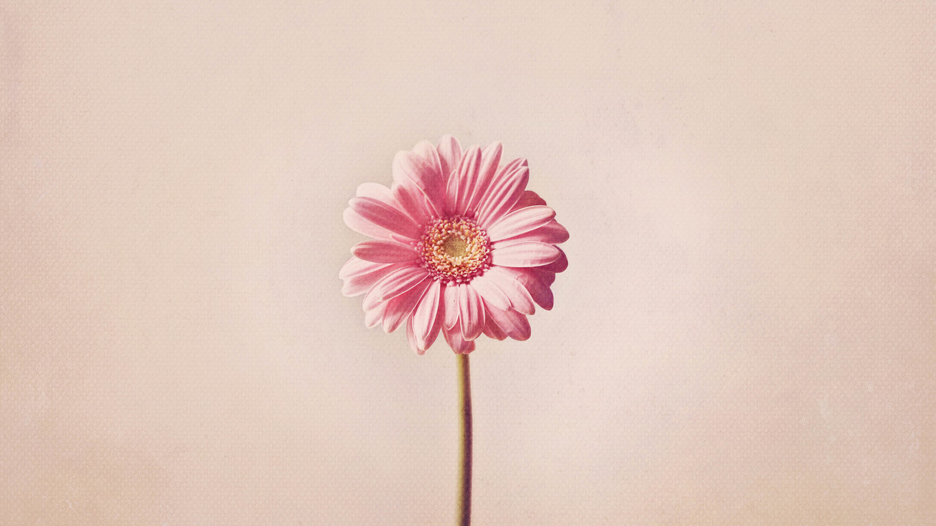 最美大臉臉郭嘟啊的個(gè)人主頁（背景預(yù)覽） - 主頁背景設(shè)置 - 站酷設(shè)計(jì)師最美大臉臉郭嘟啊原創(chuàng)素材 - 站酷ZCOOL