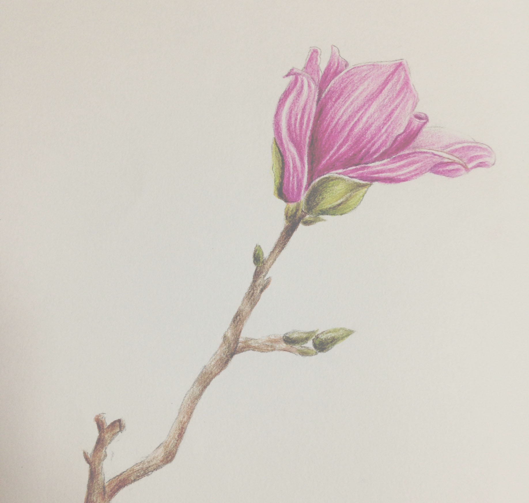 茵子设计的个人主页（背景预览） - 主页背景设置 - 站酷设计师茵子设计原创素材 - 站酷ZCOOL