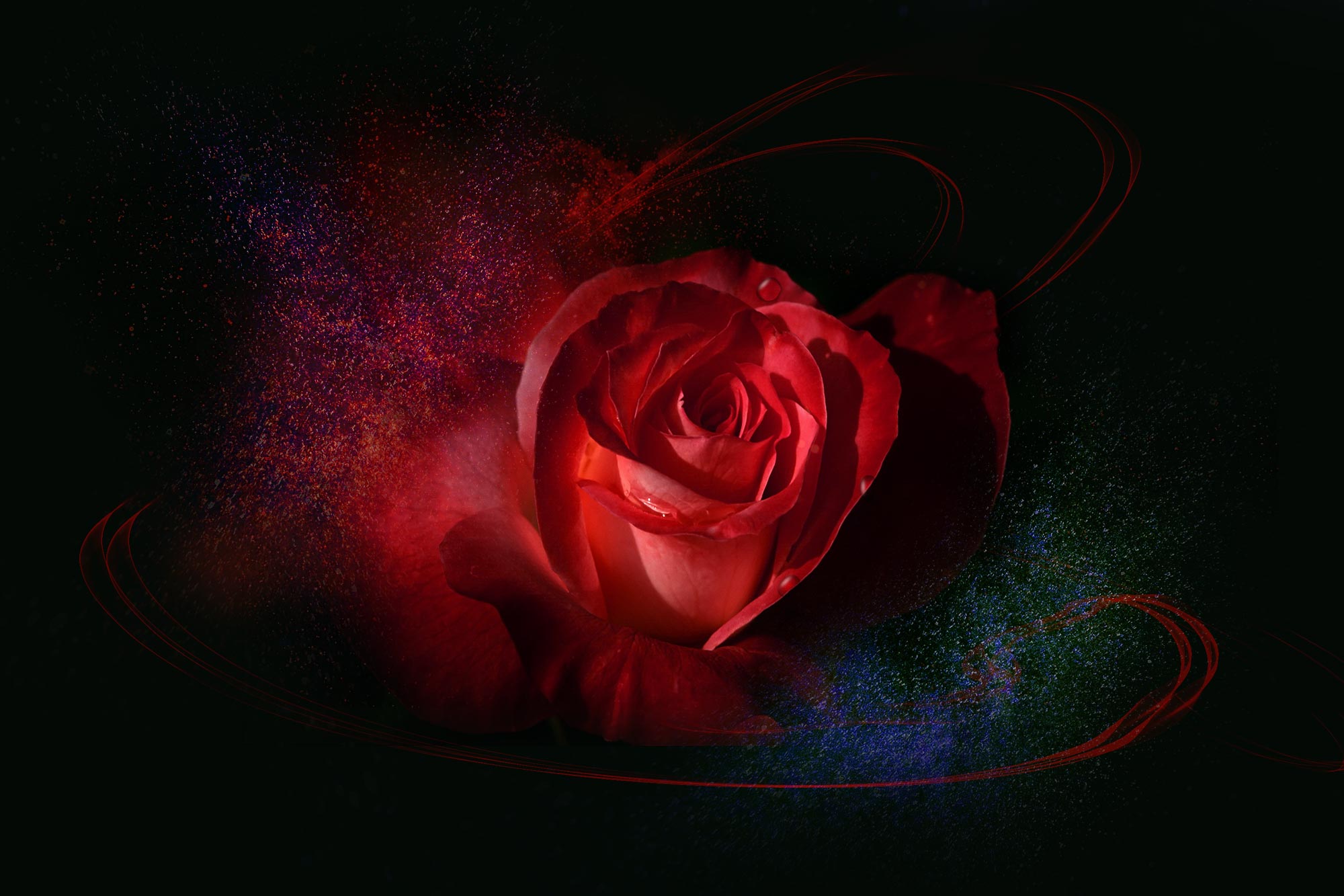 1006864048的个人主页（背景预览） - 主页背景设置 - 站酷设计师1006864048原创素材 - 站酷ZCOOL