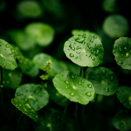 LauBoo的個人主頁（背景預覽） - 主頁背景設置 - 站酷設計師LauBoo原創(chuàng)素材 - 站酷ZCOOL