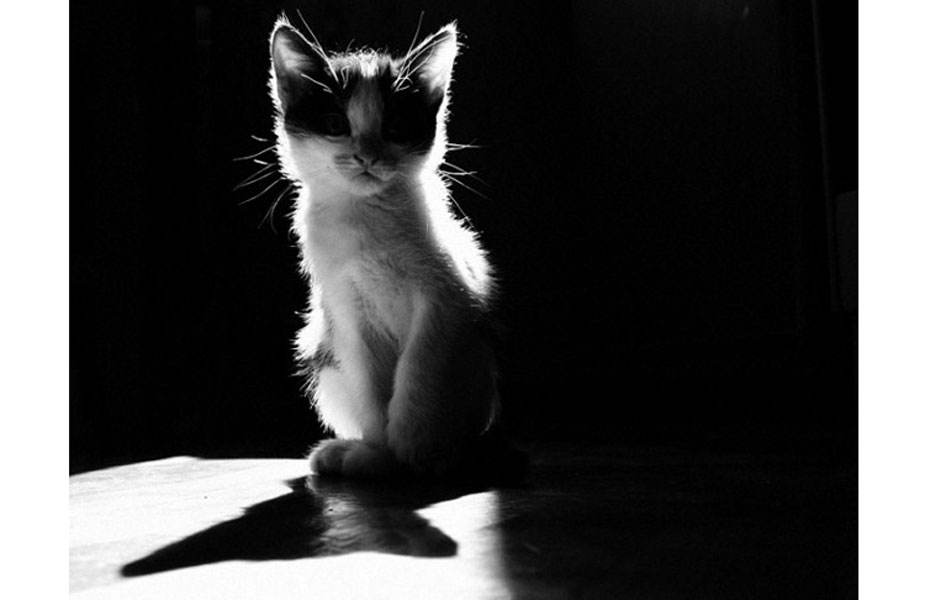 oh77_77的个人主页（背景预览） - 主页背景设置 - 站酷设计师oh77_77原创素材 - 站酷ZCOOL