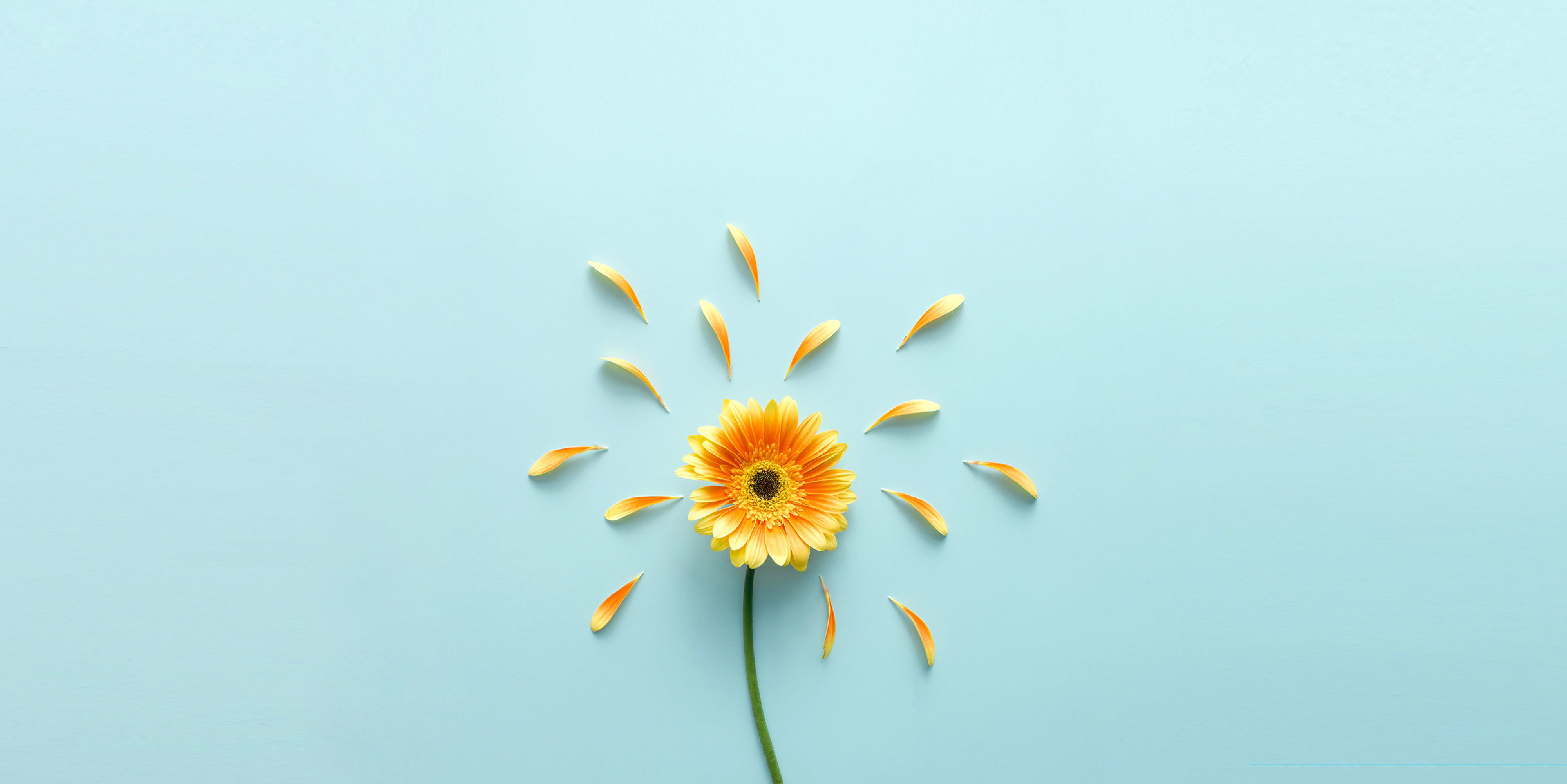 UI_JOJO的个人主页（背景预览） - 主页背景设置 - 站酷设计师UI_JOJO原创素材 - 站酷ZCOOL