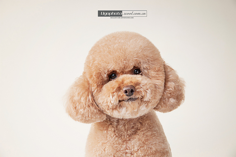 jianyouo的個(gè)人主頁（背景預(yù)覽） - 主頁背景設(shè)置 - 站酷設(shè)計(jì)師jianyouo原創(chuàng)素材 - 站酷ZCOOL