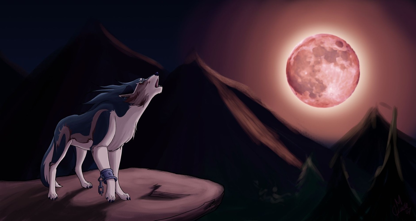 kokyar的個(gè)人主頁(yè)（背景預(yù)覽） - 主頁(yè)背景設(shè)置 - 站酷設(shè)計(jì)師kokyar原創(chuàng)素材 - 站酷ZCOOL