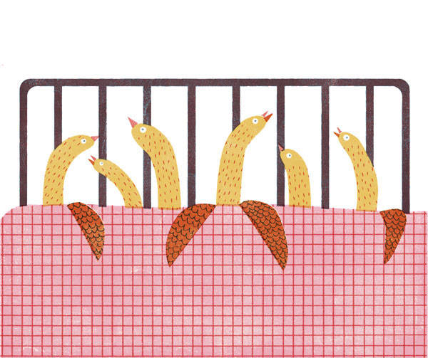 Barbaraaa的个人主页（背景预览） - 主页背景设置 - 站酷设计师Barbaraaa原创素材 - 站酷ZCOOL