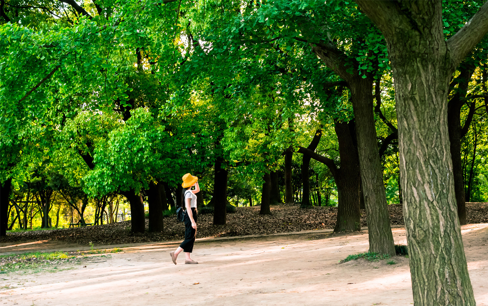 lili匠的個人主頁（背景預(yù)覽） - 主頁背景設(shè)置 - 站酷設(shè)計師lili匠原創(chuàng)素材 - 站酷ZCOOL